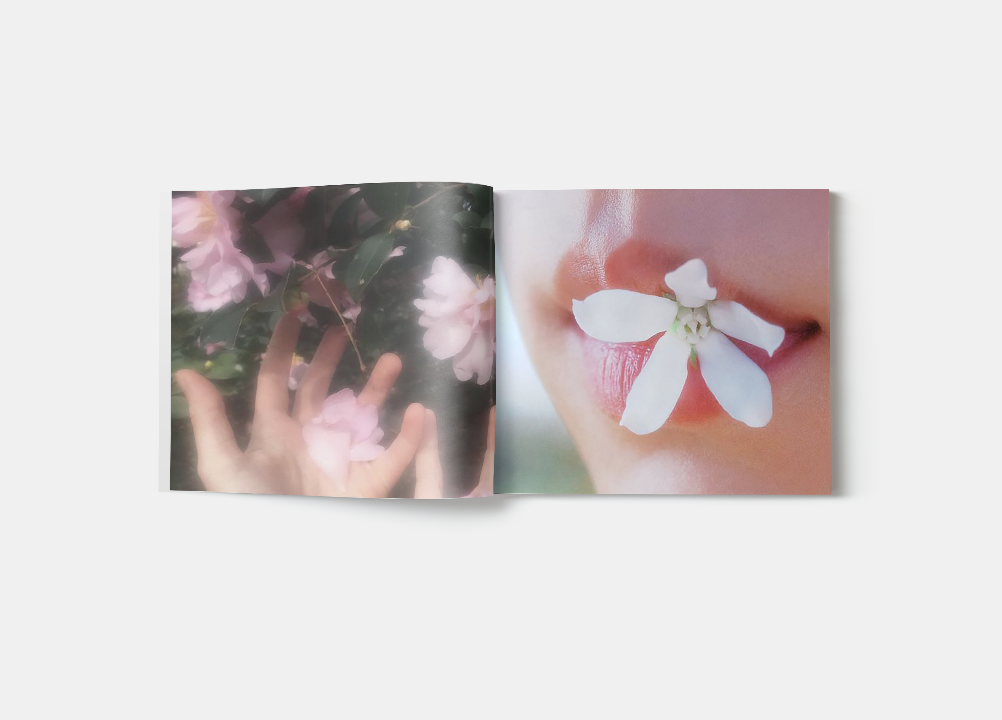 Фотобук "Beauty of Nature Poems" — Изображение №7 — Брендинг, Графика на Dprofile