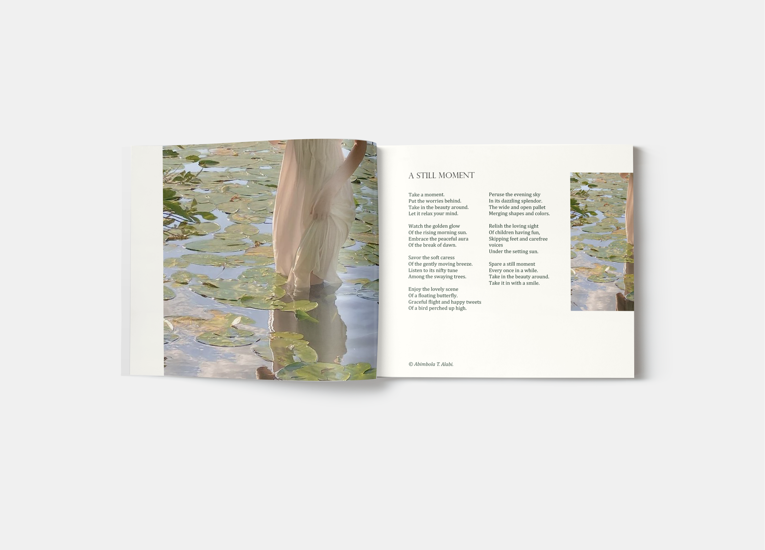 Фотобук "Beauty of Nature Poems" — Изображение №10 — Брендинг, Графика на Dprofile