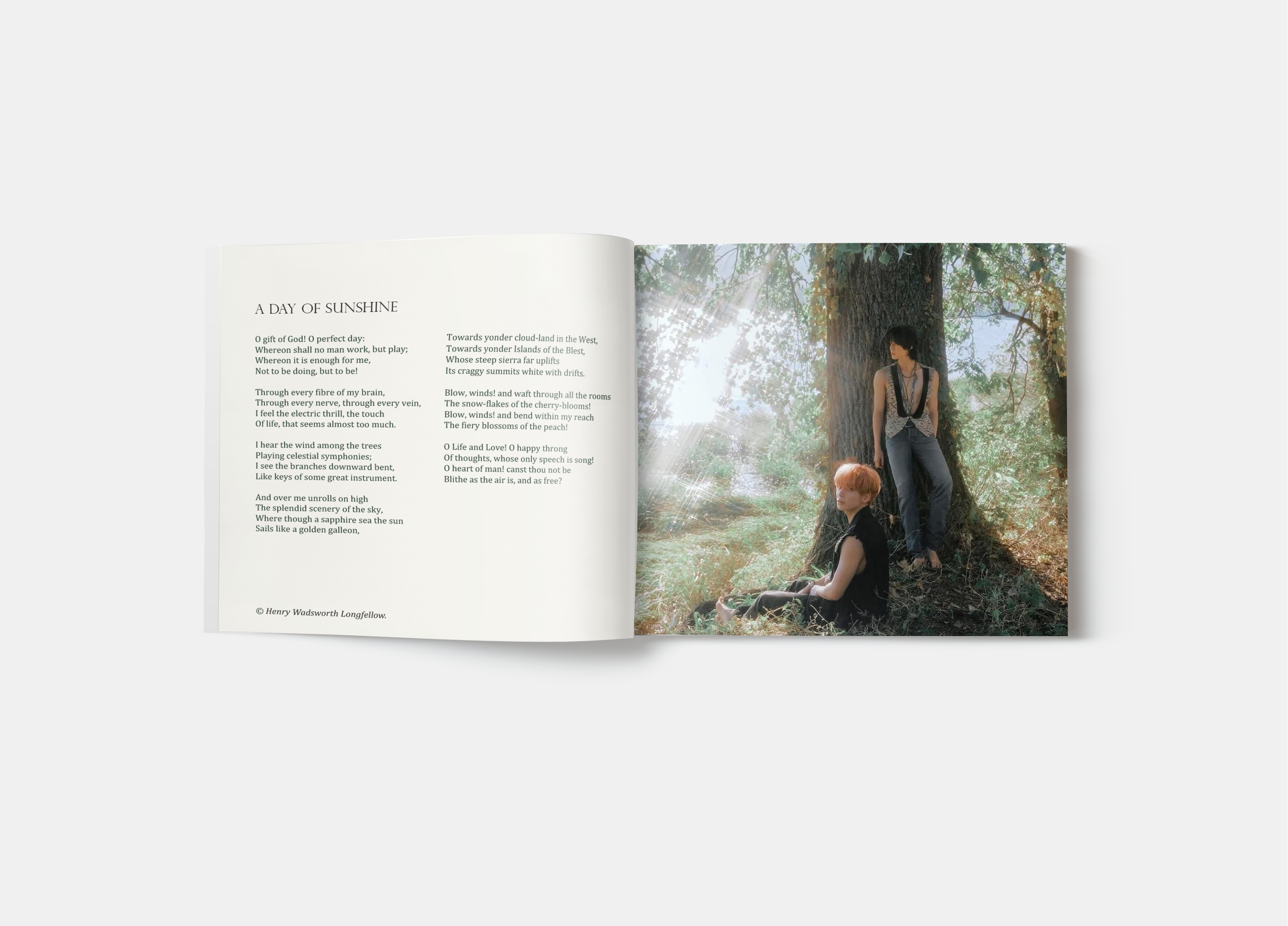 Фотобук "Beauty of Nature Poems" — Изображение №11 — Брендинг, Графика на Dprofile