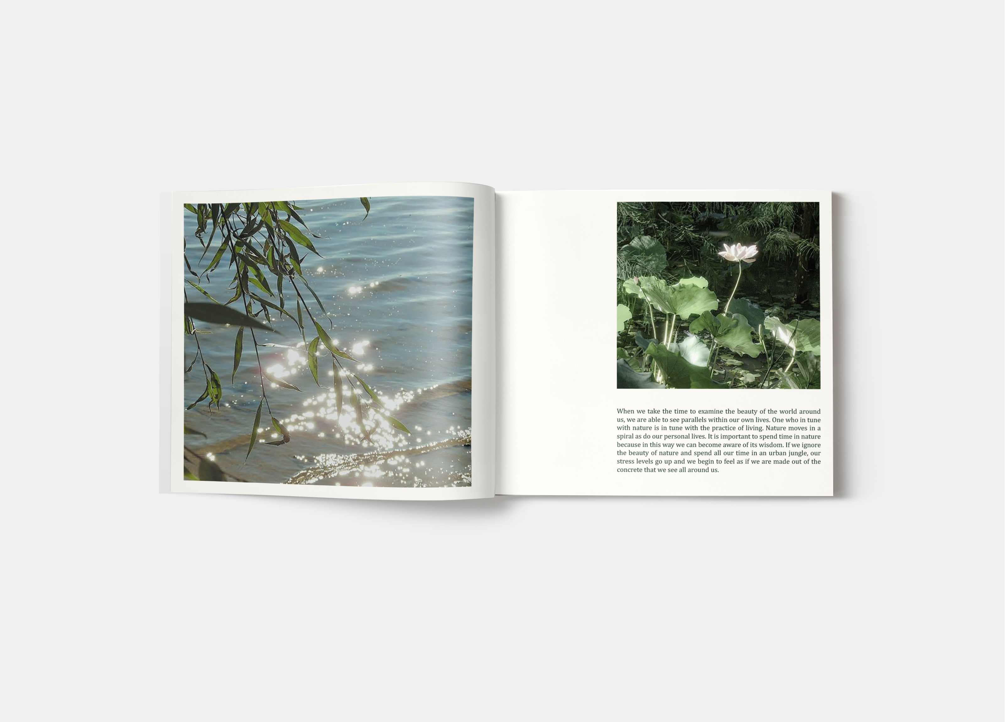 Фотобук "Beauty of Nature Poems" — Изображение №5 — Брендинг, Графика на Dprofile