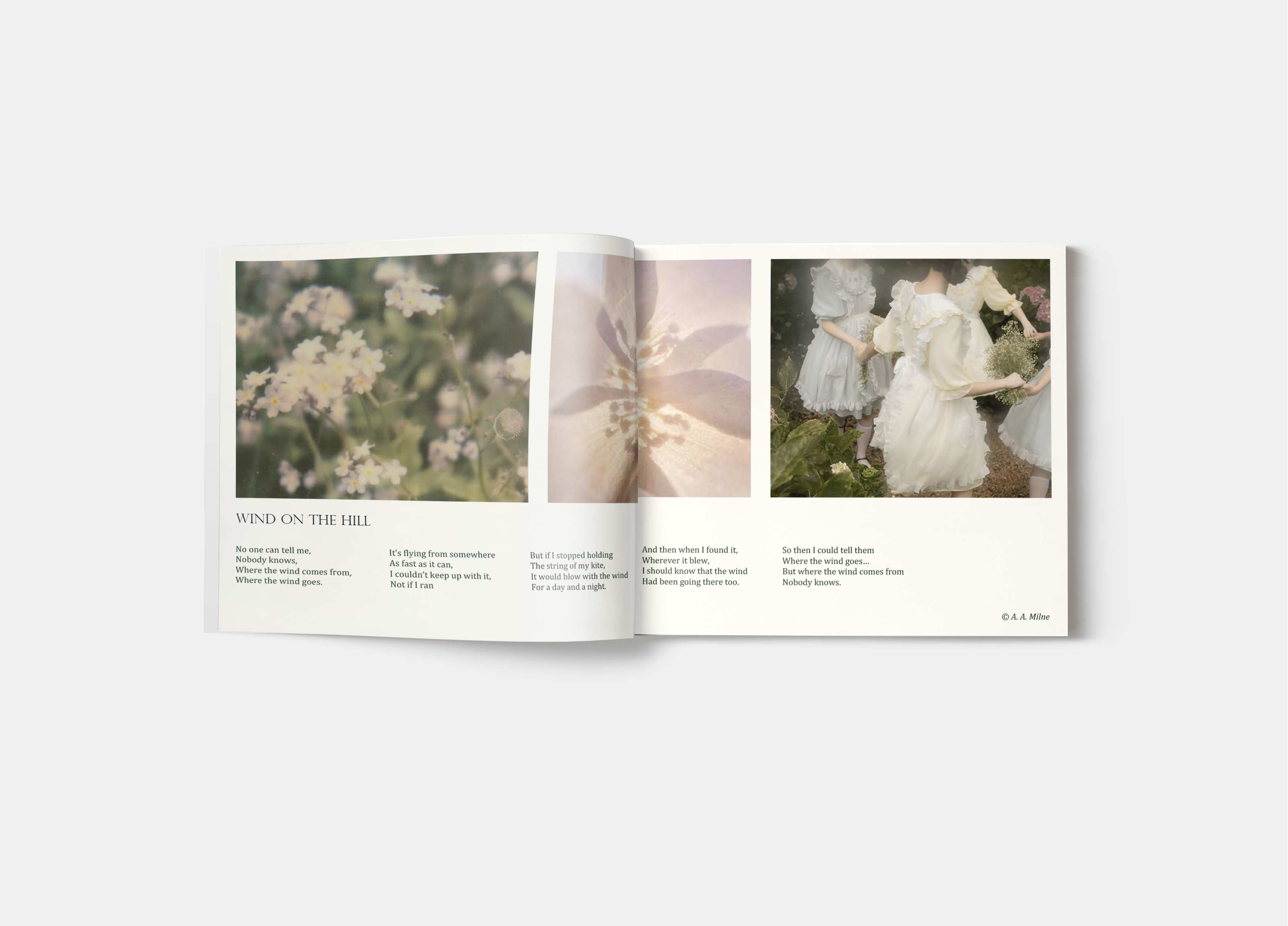 Фотобук "Beauty of Nature Poems" — Изображение №14 — Брендинг, Графика на Dprofile