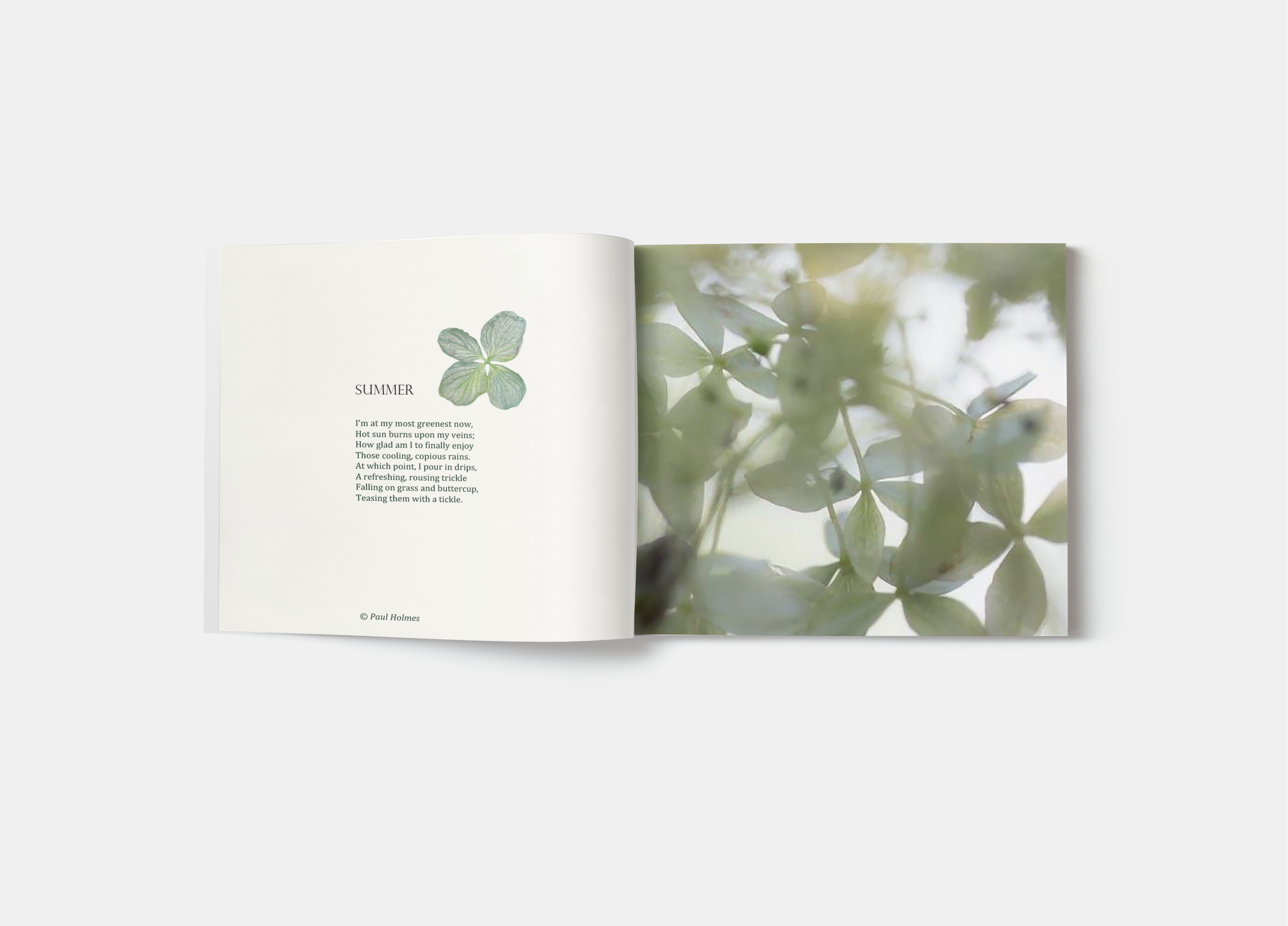 Фотобук "Beauty of Nature Poems" — Изображение №9 — Брендинг, Графика на Dprofile