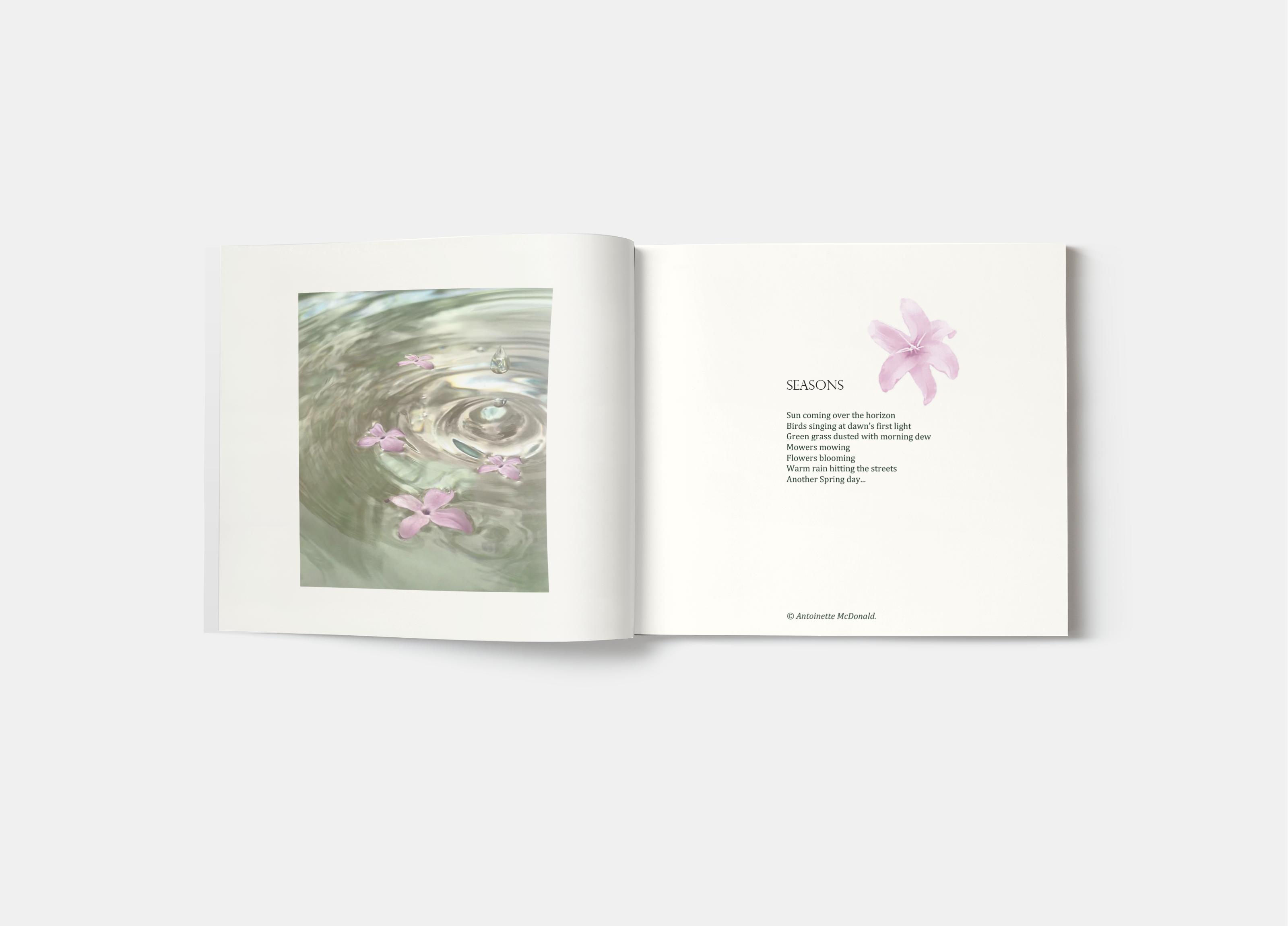 Фотобук "Beauty of Nature Poems" — Изображение №12 — Брендинг, Графика на Dprofile