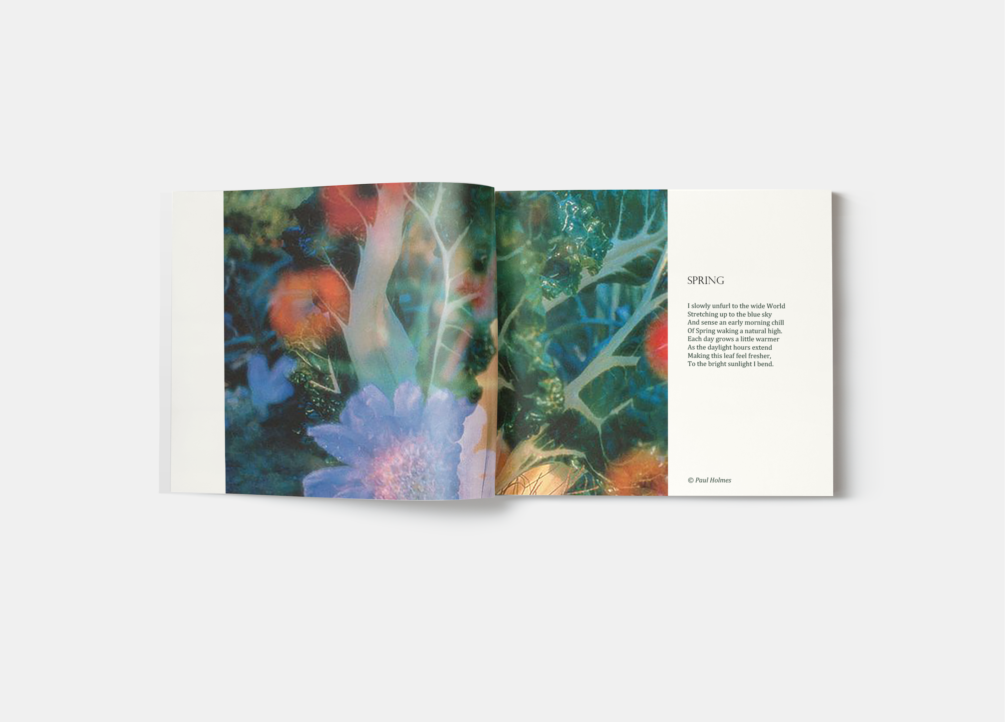 Фотобук "Beauty of Nature Poems" — Изображение №8 — Брендинг, Графика на Dprofile