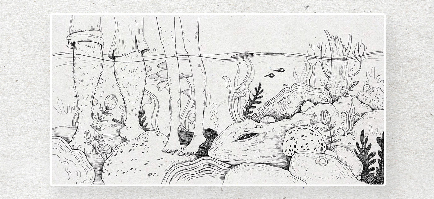 MARA. History of old swamps. Book for children. — Изображение №14 — Иллюстрация, Графика на Dprofile