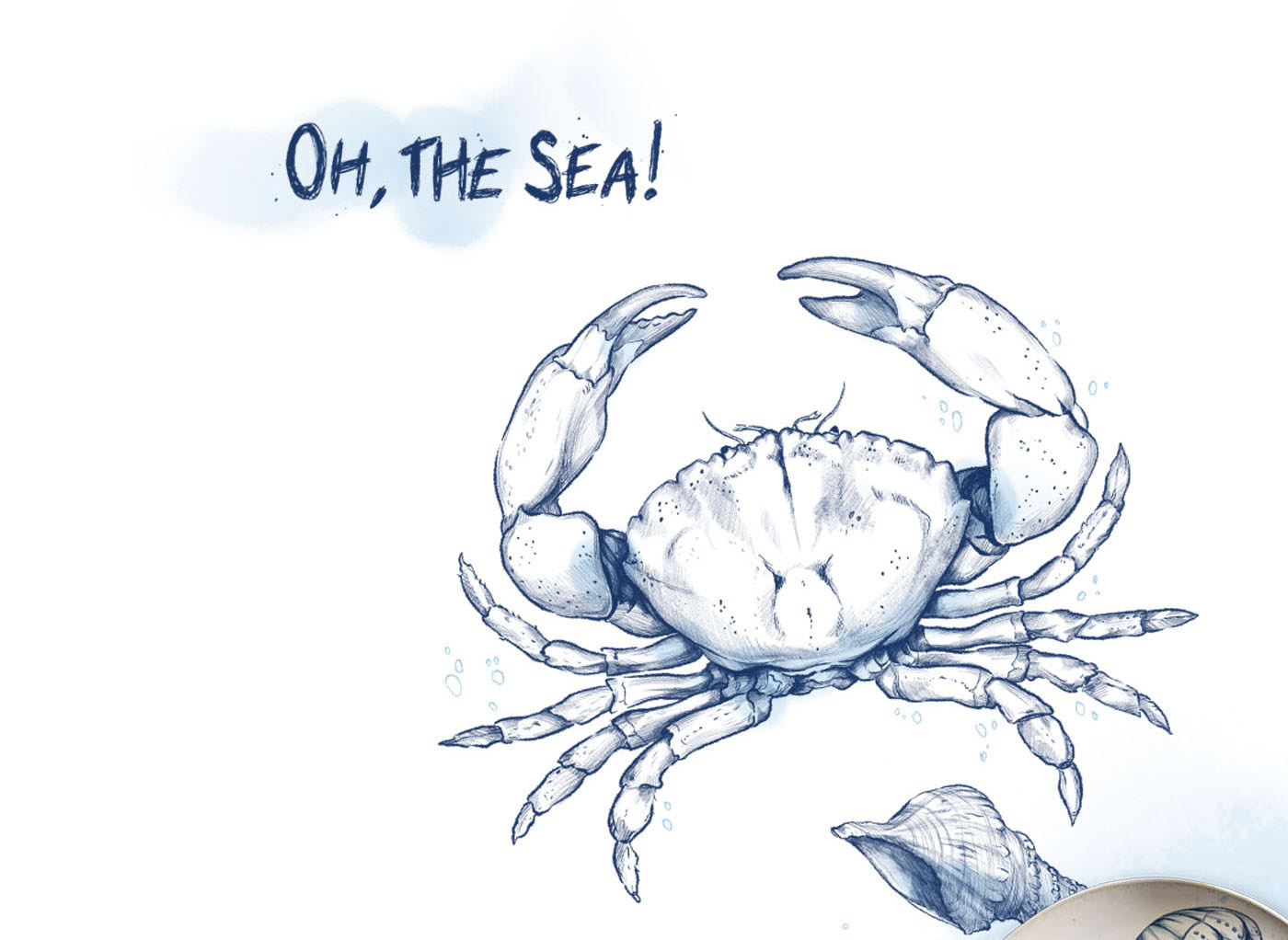 Marine illustrations. Сeramic tableware. — Изображение №1 — Брендинг, Графика на Dprofile