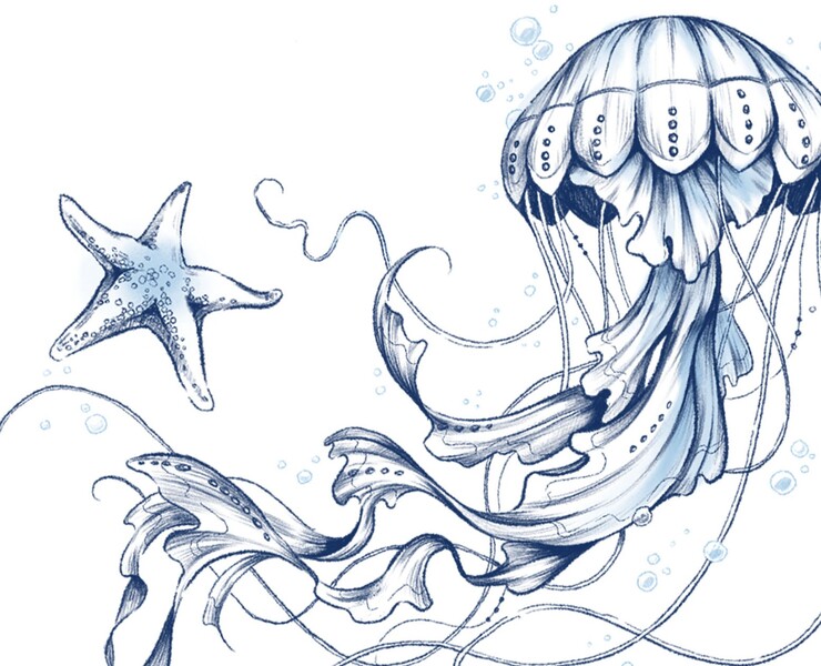 Marine illustrations. Сeramic tableware. — Брендинг, Графика на Dprofile