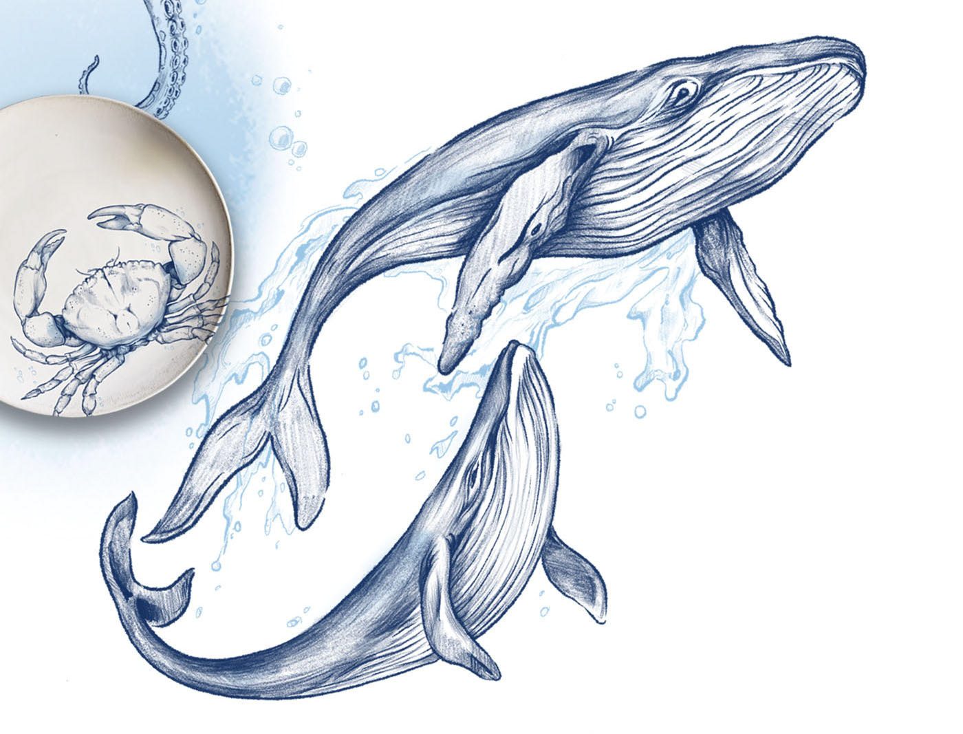 Marine illustrations. Сeramic tableware. — Изображение №3 — Брендинг, Графика на Dprofile