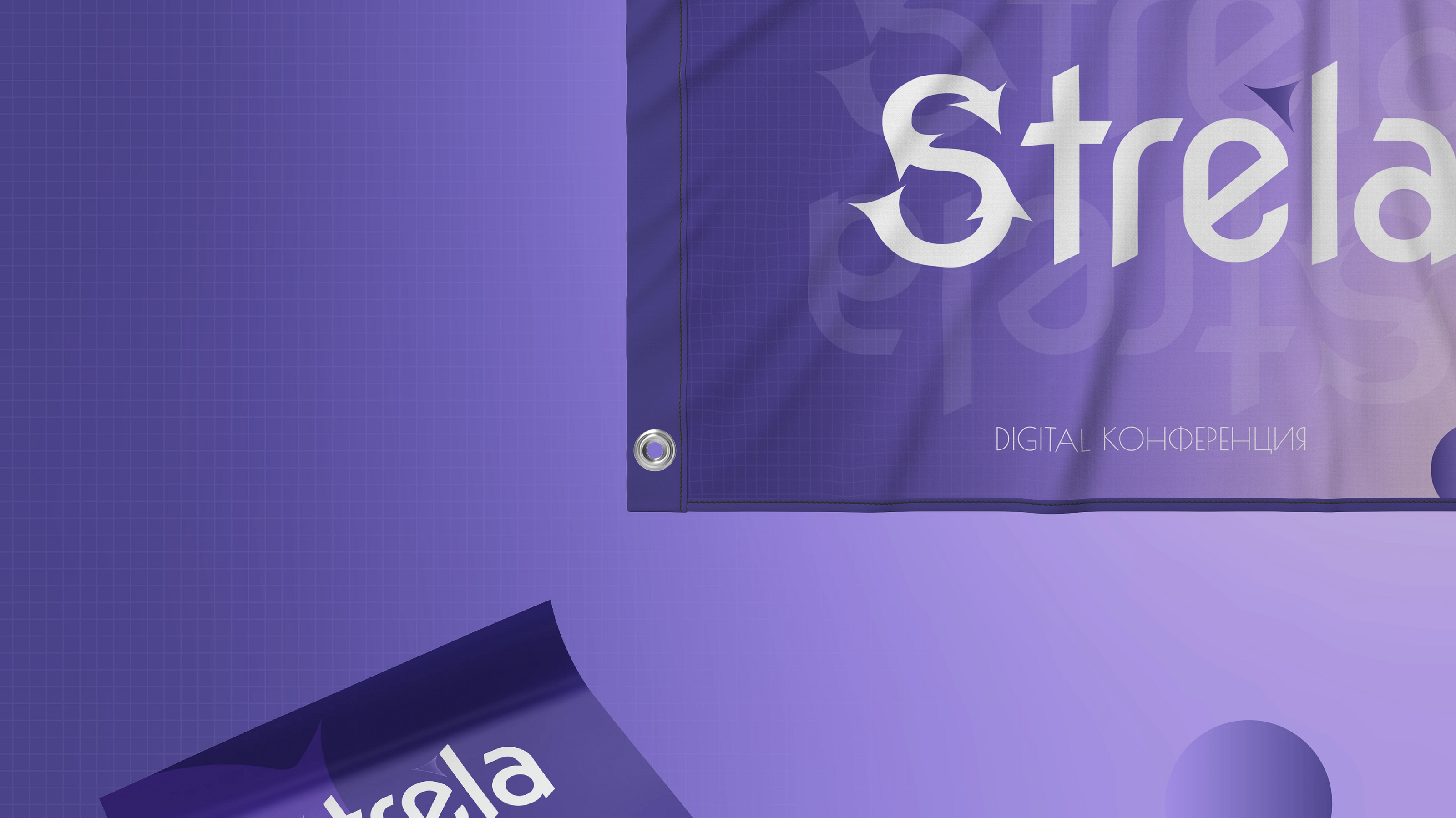 Digital conference | Strela — Изображение №6 — Брендинг, Графика на Dprofile