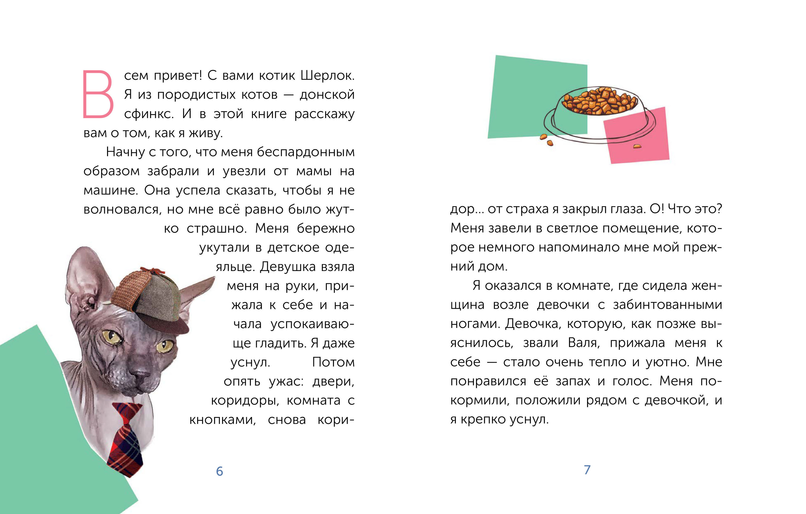 Cover for the book "Sherlock the Cat" — Изображение №4 — Брендинг, Иллюстрация, Графика на Dprofile