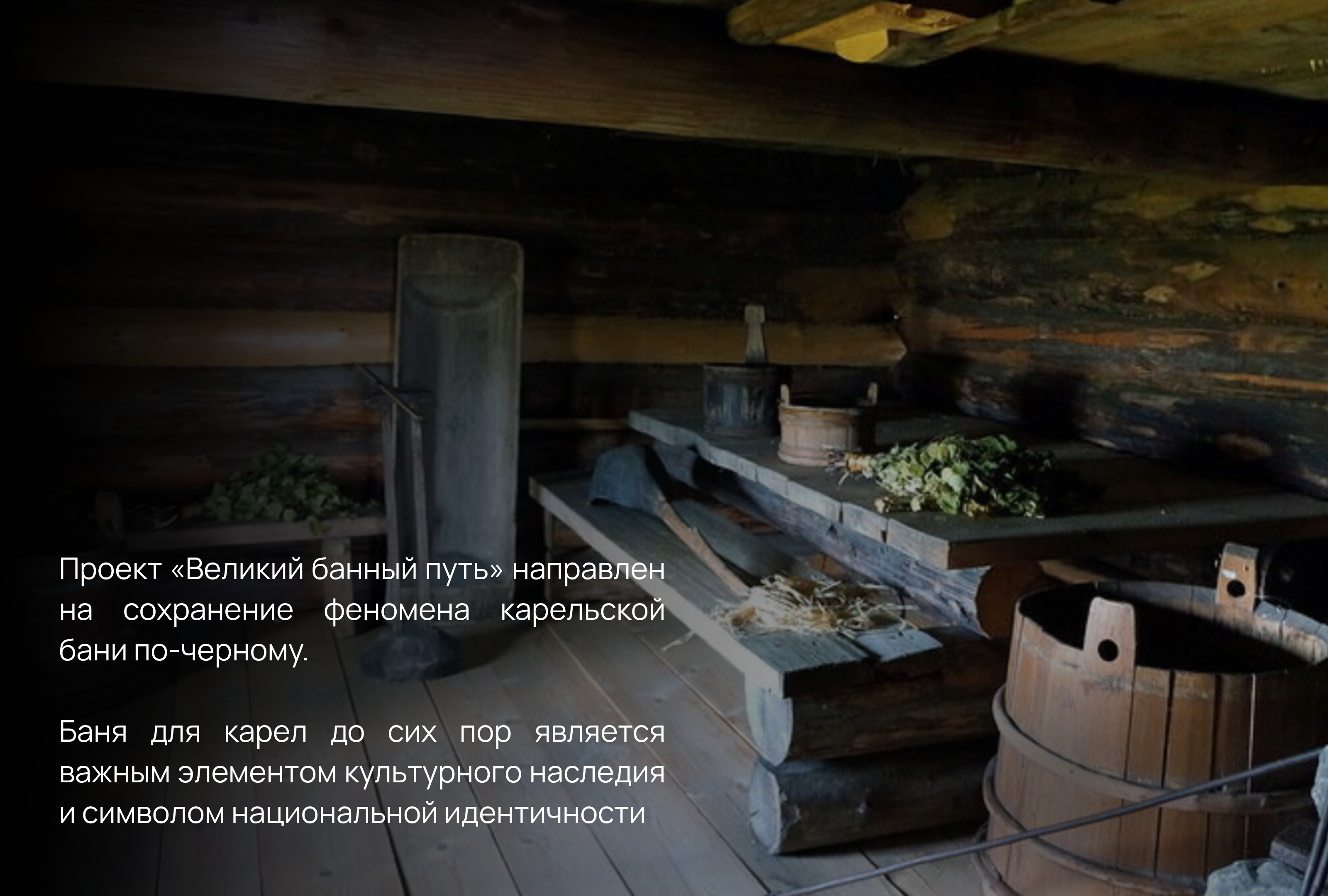 Упаковка для карельского чая — Изображение №1 — Брендинг, Иллюстрация на Dprofile