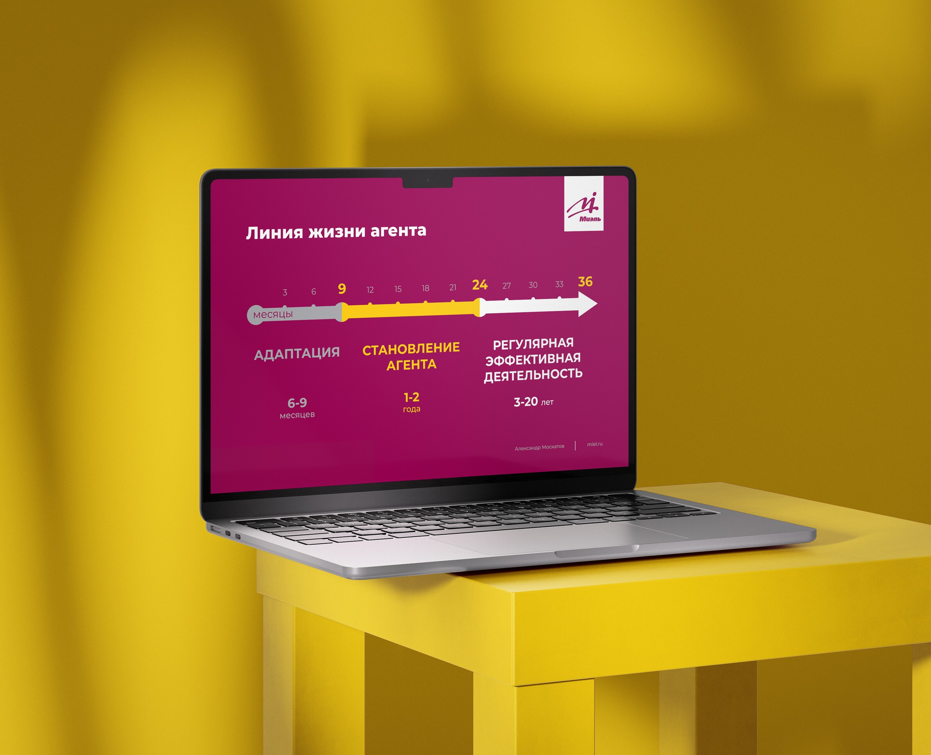 Визуализация данных для бизнес-презентации — Графика, Маркетинг на Dprofile