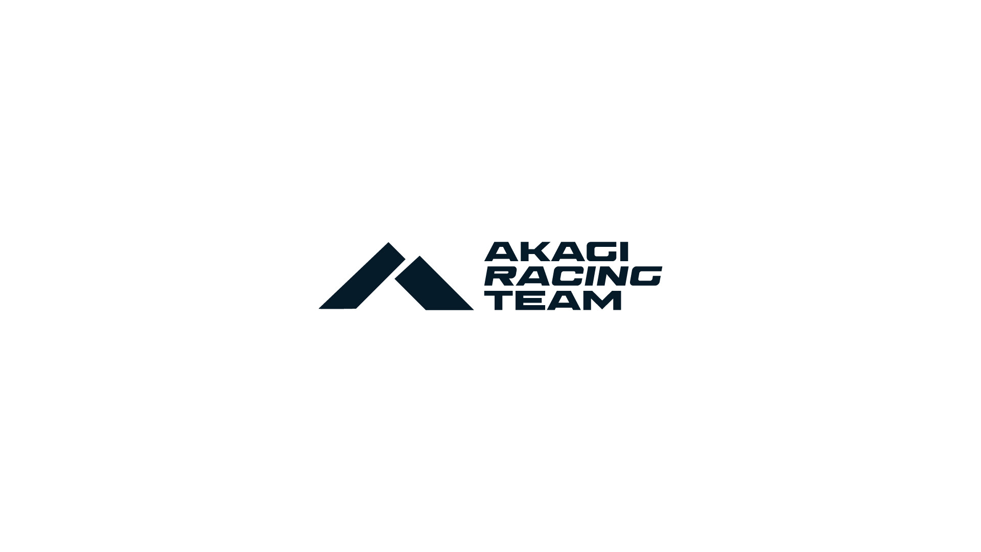 RACING TEAM IDENTITY LOGO БРЕНДИНГ ГОНОЧНОЙ КОМАНДЫ — Изображение №7 — Брендинг на Dprofile