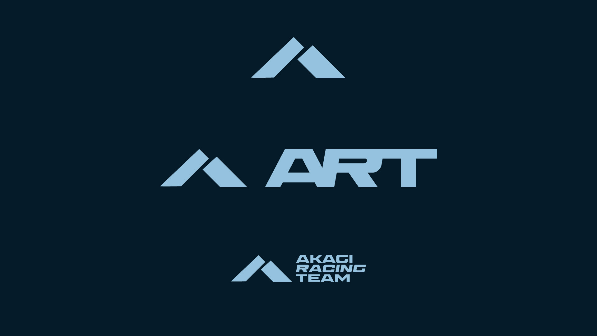 RACING TEAM IDENTITY LOGO БРЕНДИНГ ГОНОЧНОЙ КОМАНДЫ — Изображение №10 — Брендинг на Dprofile