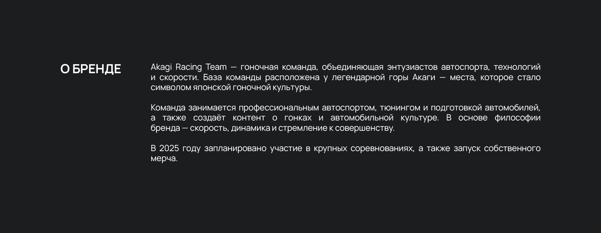 RACING TEAM IDENTITY LOGO БРЕНДИНГ ГОНОЧНОЙ КОМАНДЫ — Изображение №2 — Брендинг на Dprofile