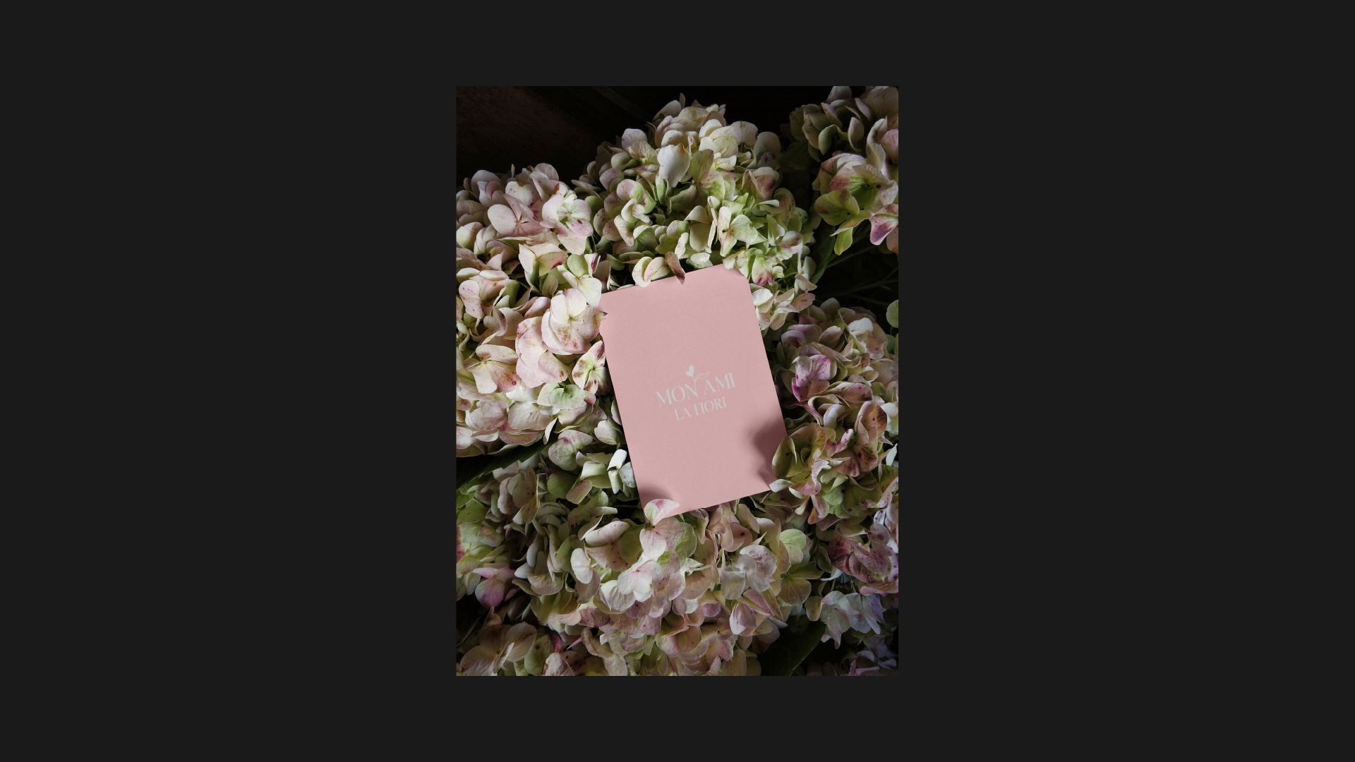 FLOWER SHOP IDENTITY | BRANDING | ЦВЕТОЧНЫЙ ЛОГОТИП — Изображение №24 — Брендинг, Графика на Dprofile
