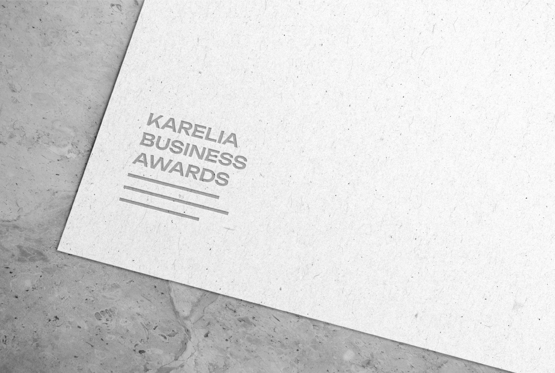 Фирменный стиль | Брендинг | Karelia Business Awards — Изображение №28 — Брендинг на Dprofile