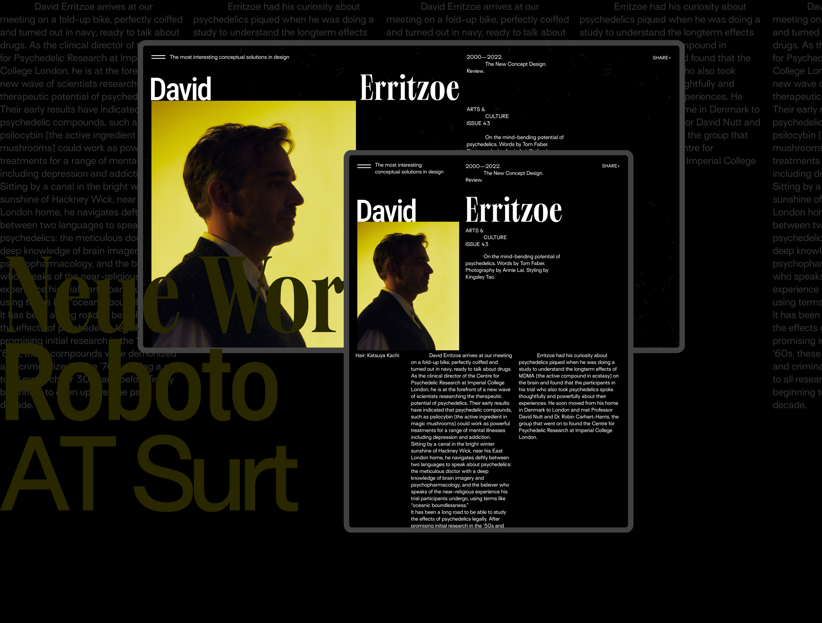 David Erritzoe, текстовый лонгрид — Изображение №1 — Интерфейсы, Графика на Dprofile
