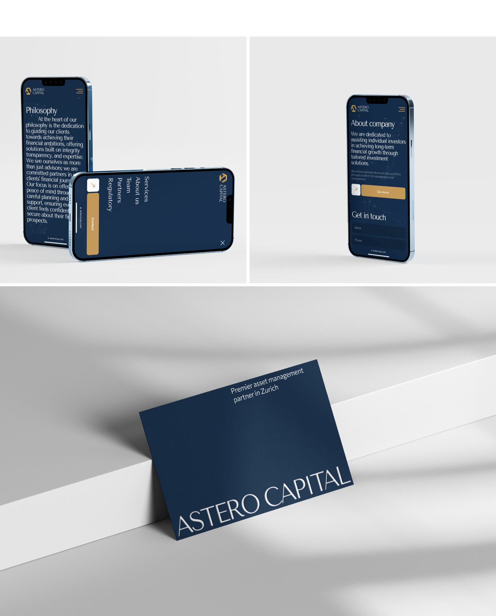 ASTERO CAPITAL / WEB — Изображение №8 — Интерфейсы, Брендинг на Dprofile