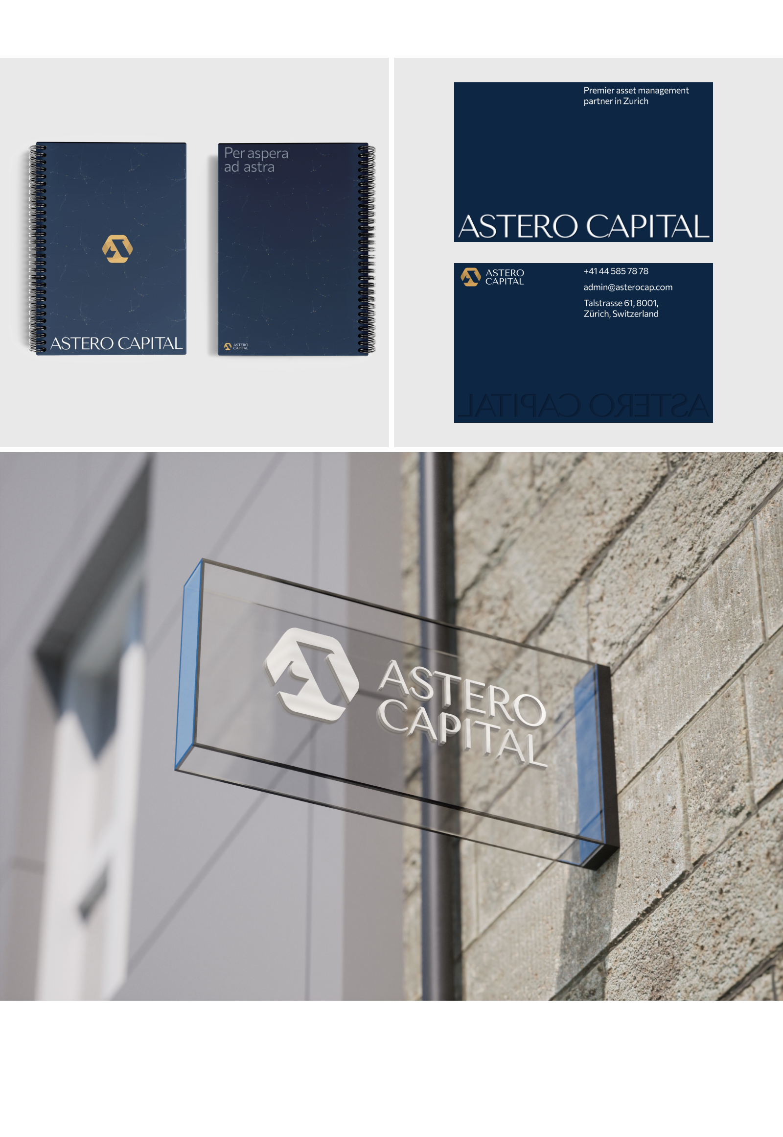 ASTERO CAPITAL / WEB — Изображение №4 — Интерфейсы, Брендинг на Dprofile