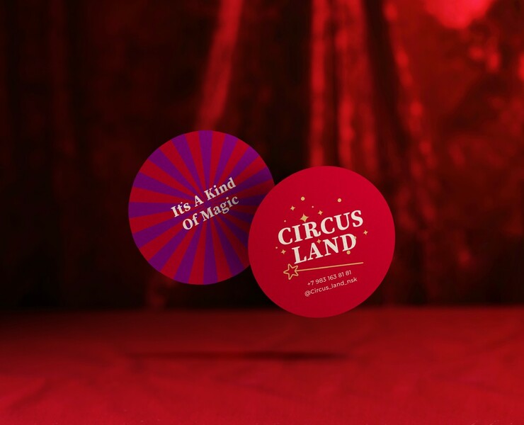 CircusLand Identity — Брендинг на Dprofile