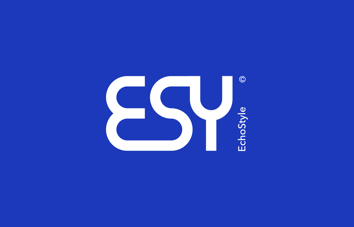 Echo Style|Brand — Изображение №1 — Брендинг на Dprofile