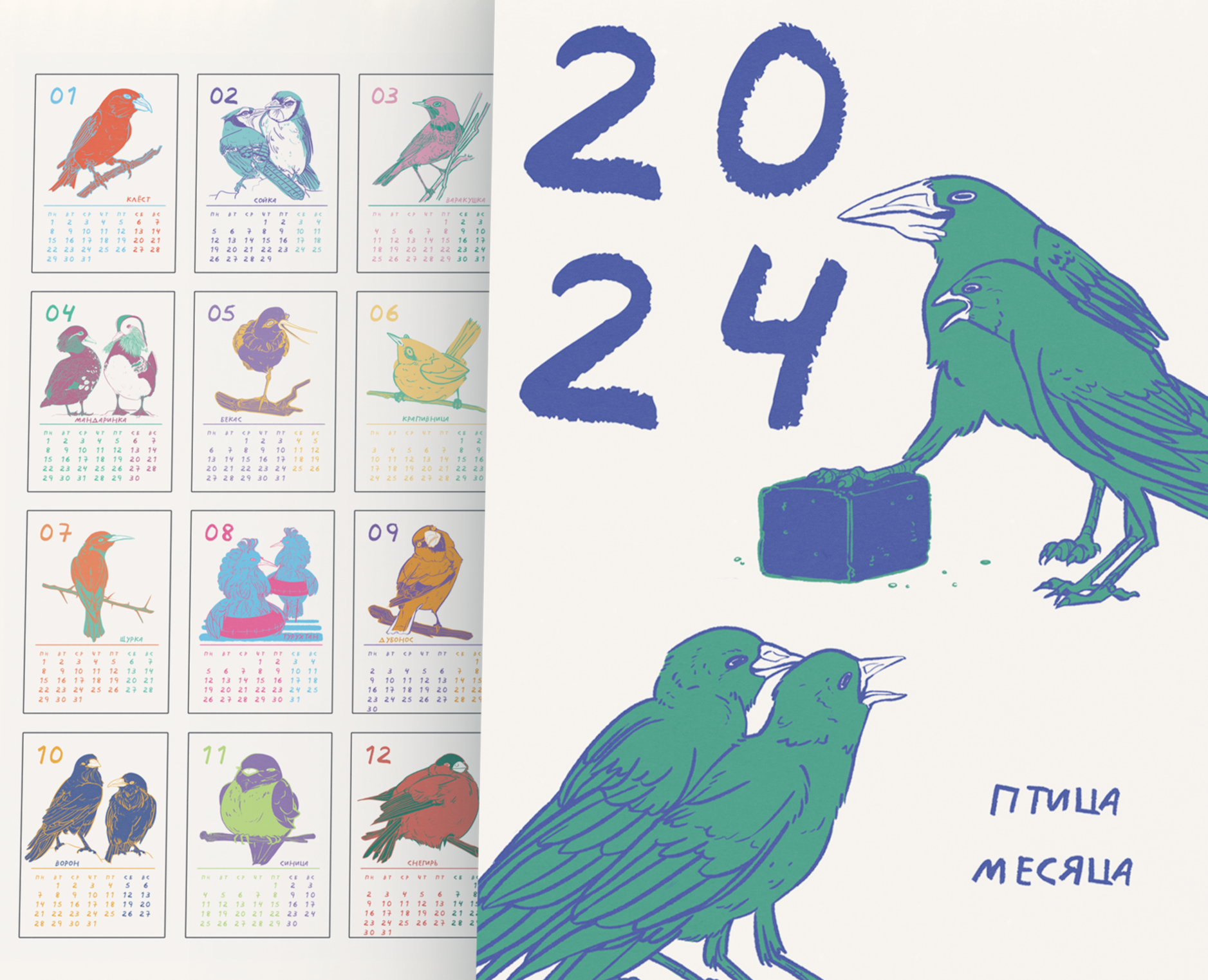 Календарь 2024 "Птица месяца" — Иллюстрация, Графика на Dprofile