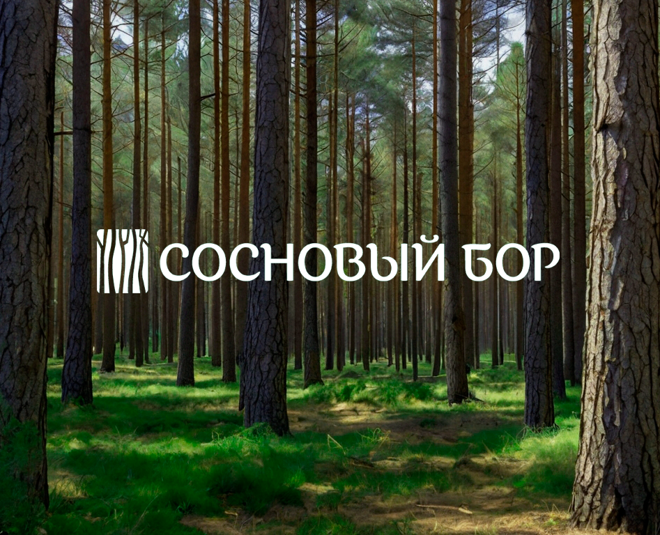 Айдентика лесопарка "Сосновый Бор" — Брендинг, Графика на Dprofile