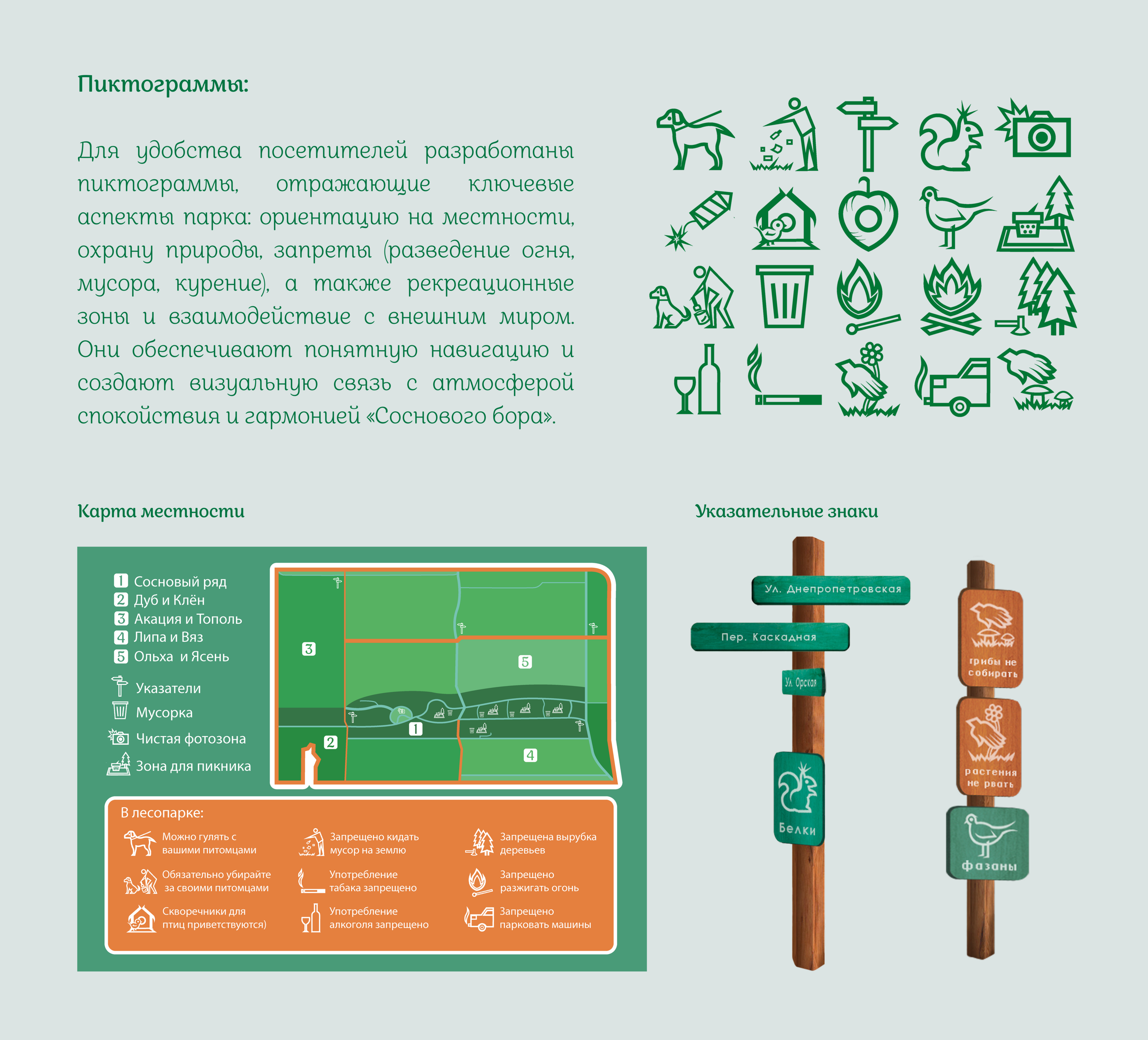 Айдентика лесопарка "Сосновый Бор" — Изображение №4 — Брендинг, Графика на Dprofile