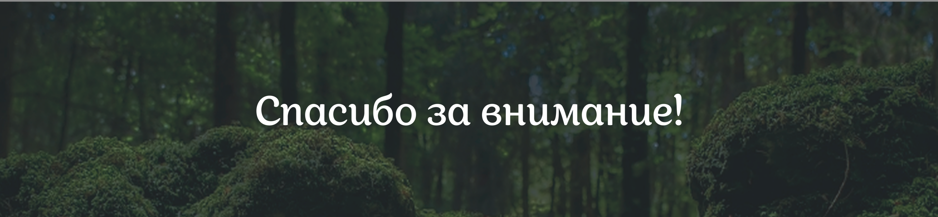 Айдентика лесопарка "Сосновый Бор" — Изображение №10 — Брендинг, Графика на Dprofile