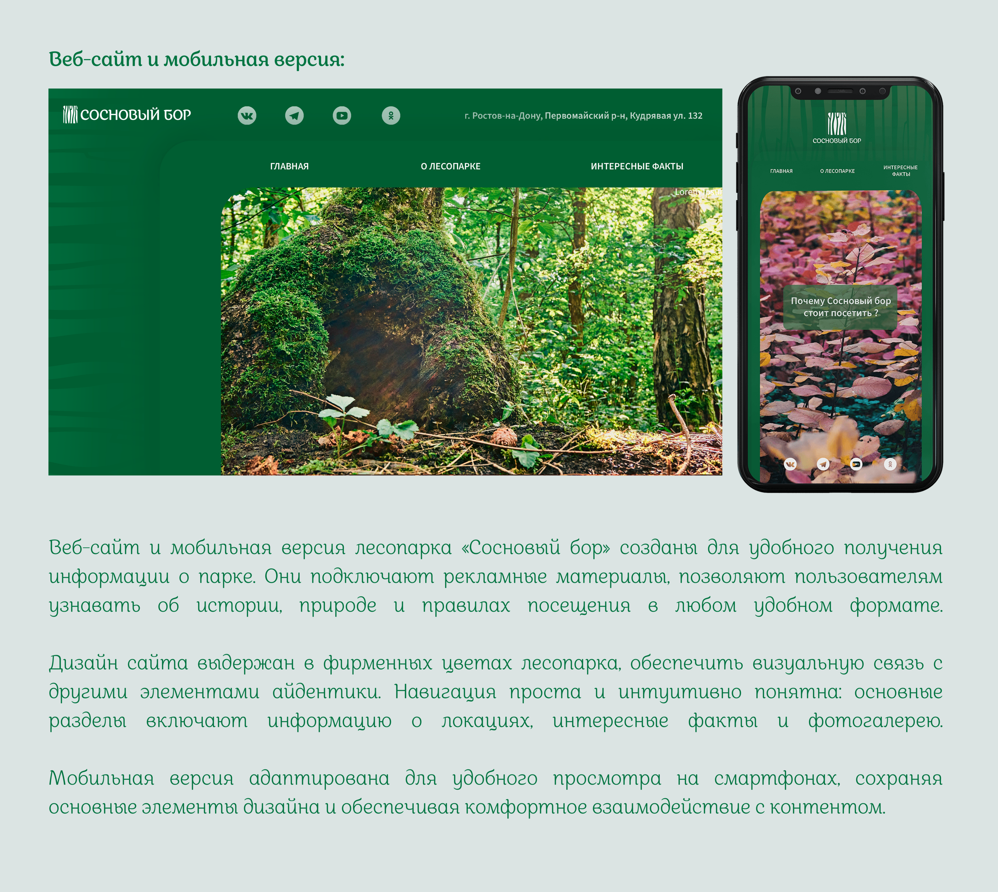Айдентика лесопарка "Сосновый Бор" — Изображение №9 — Брендинг, Графика на Dprofile