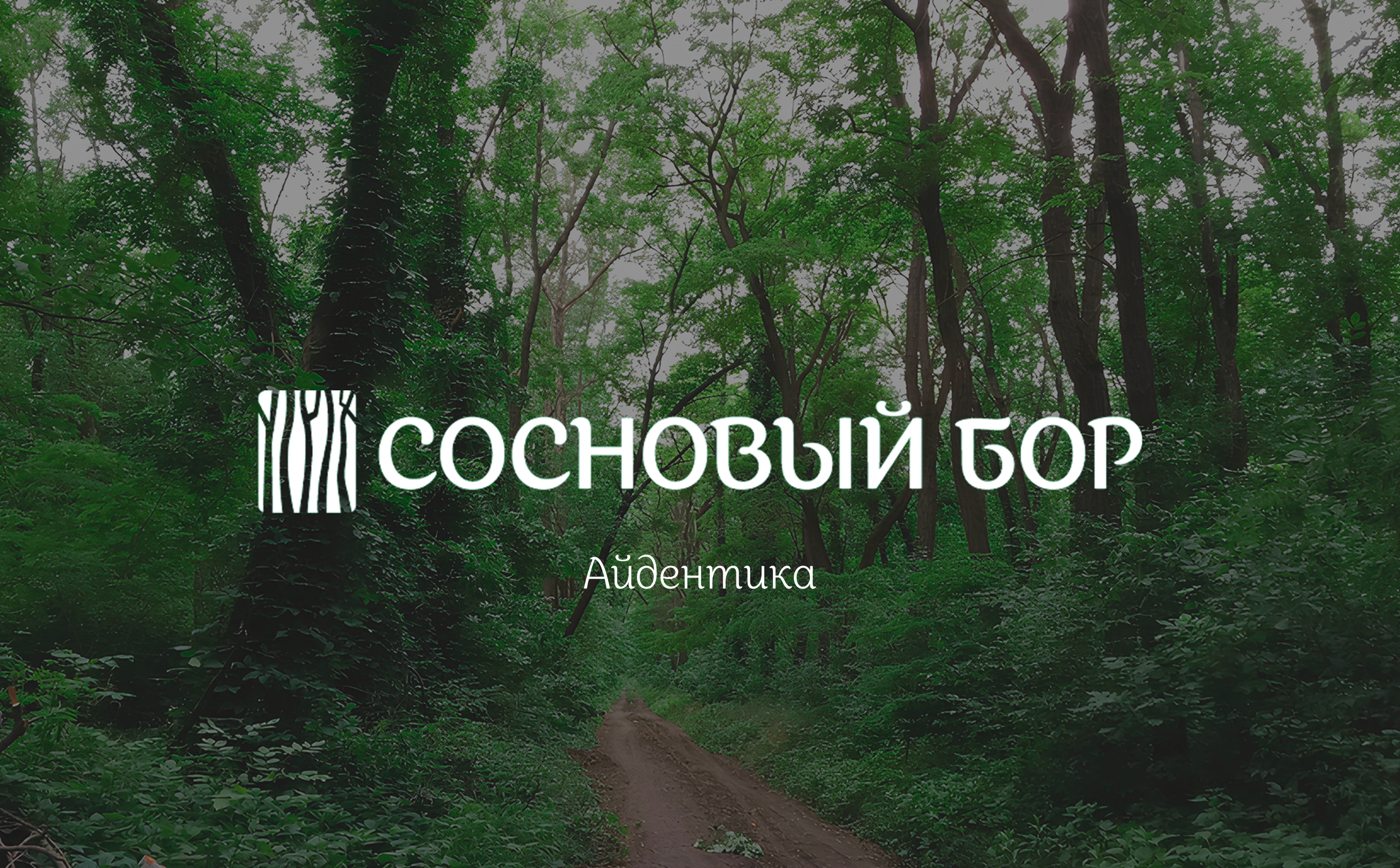 Айдентика лесопарка "Сосновый Бор" — Изображение №1 — Брендинг, Графика на Dprofile