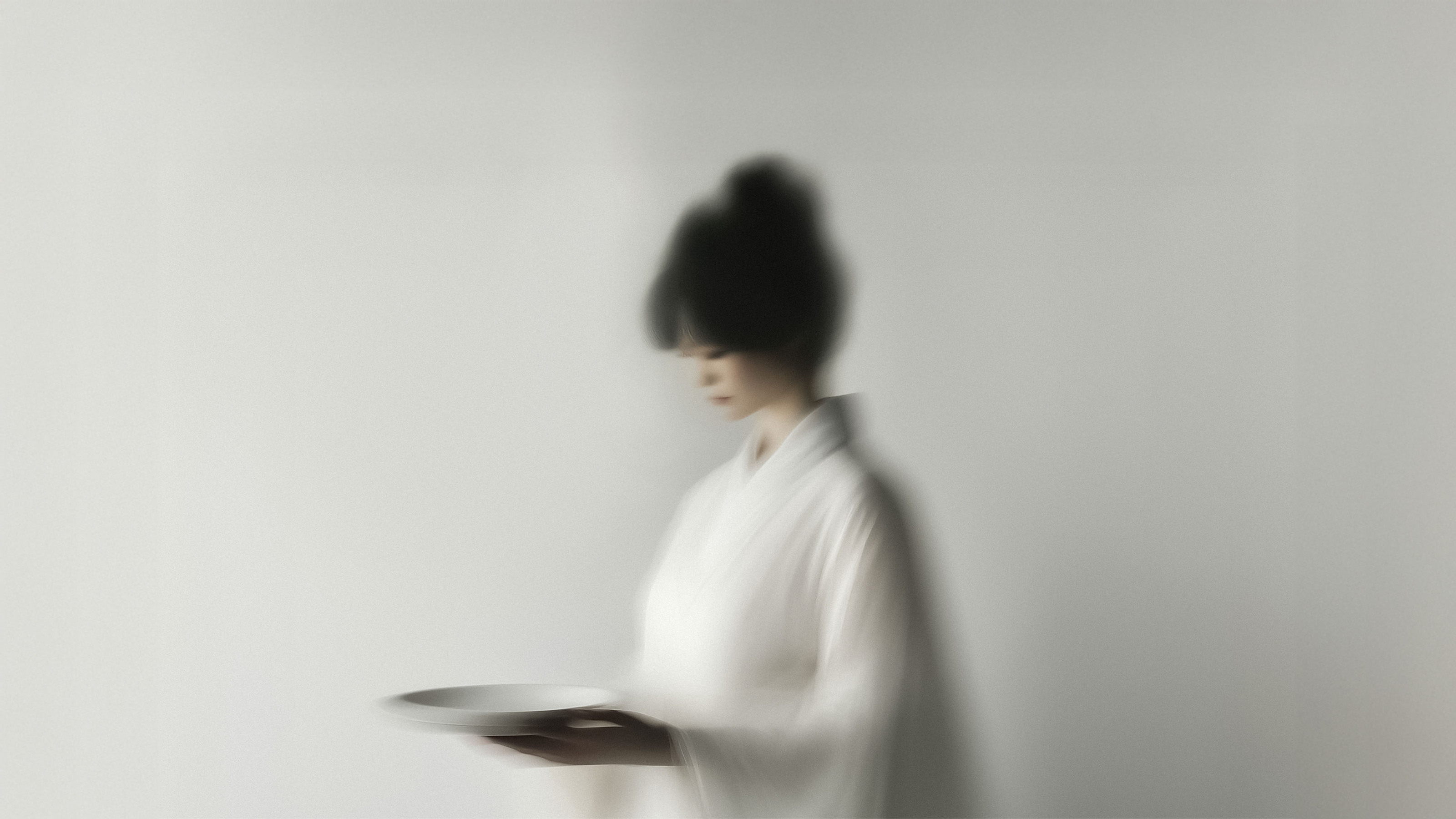 Tottori — Изображение №1 — Брендинг на Dprofile