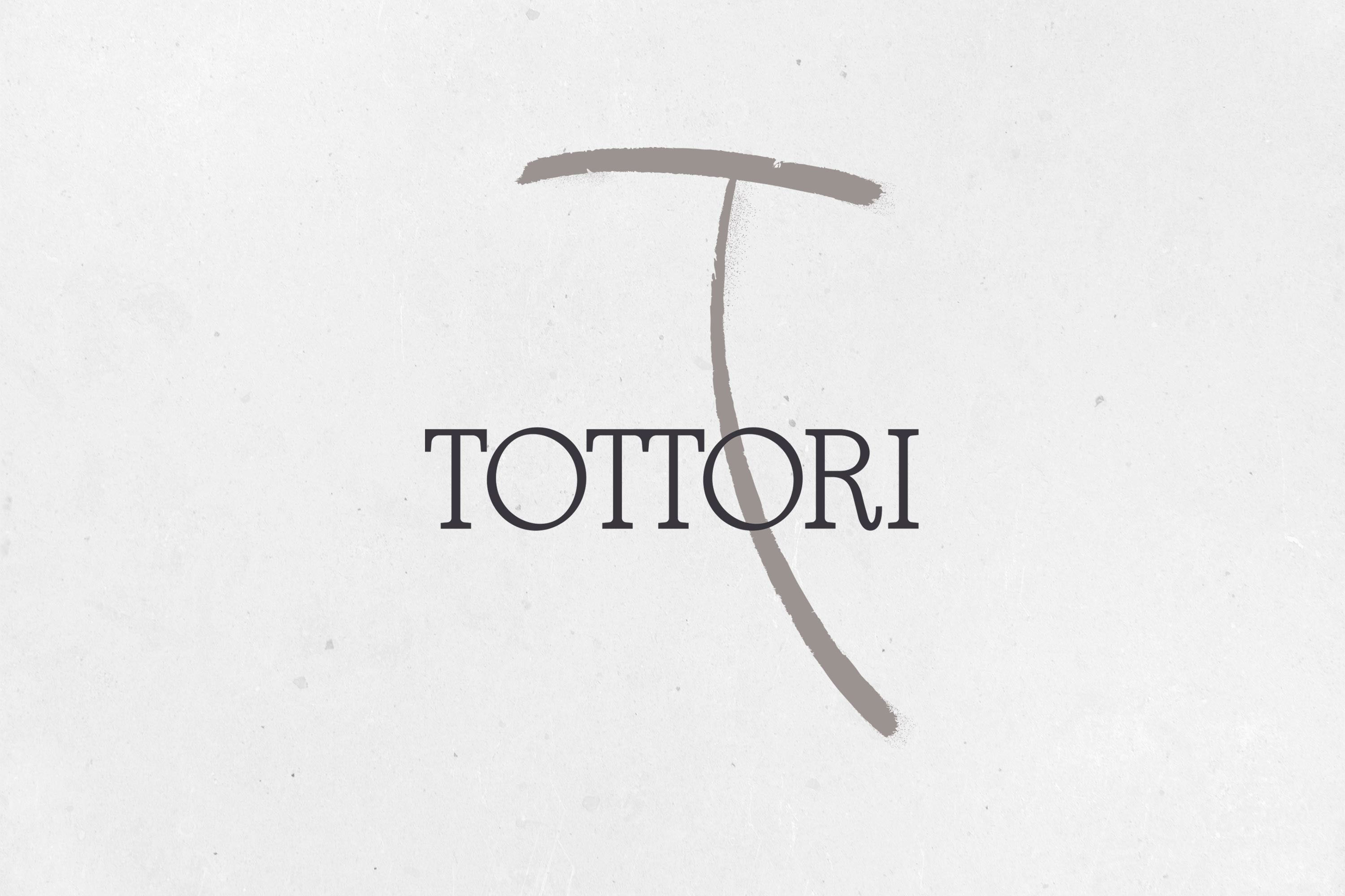 Tottori — Изображение №4 — Брендинг на Dprofile