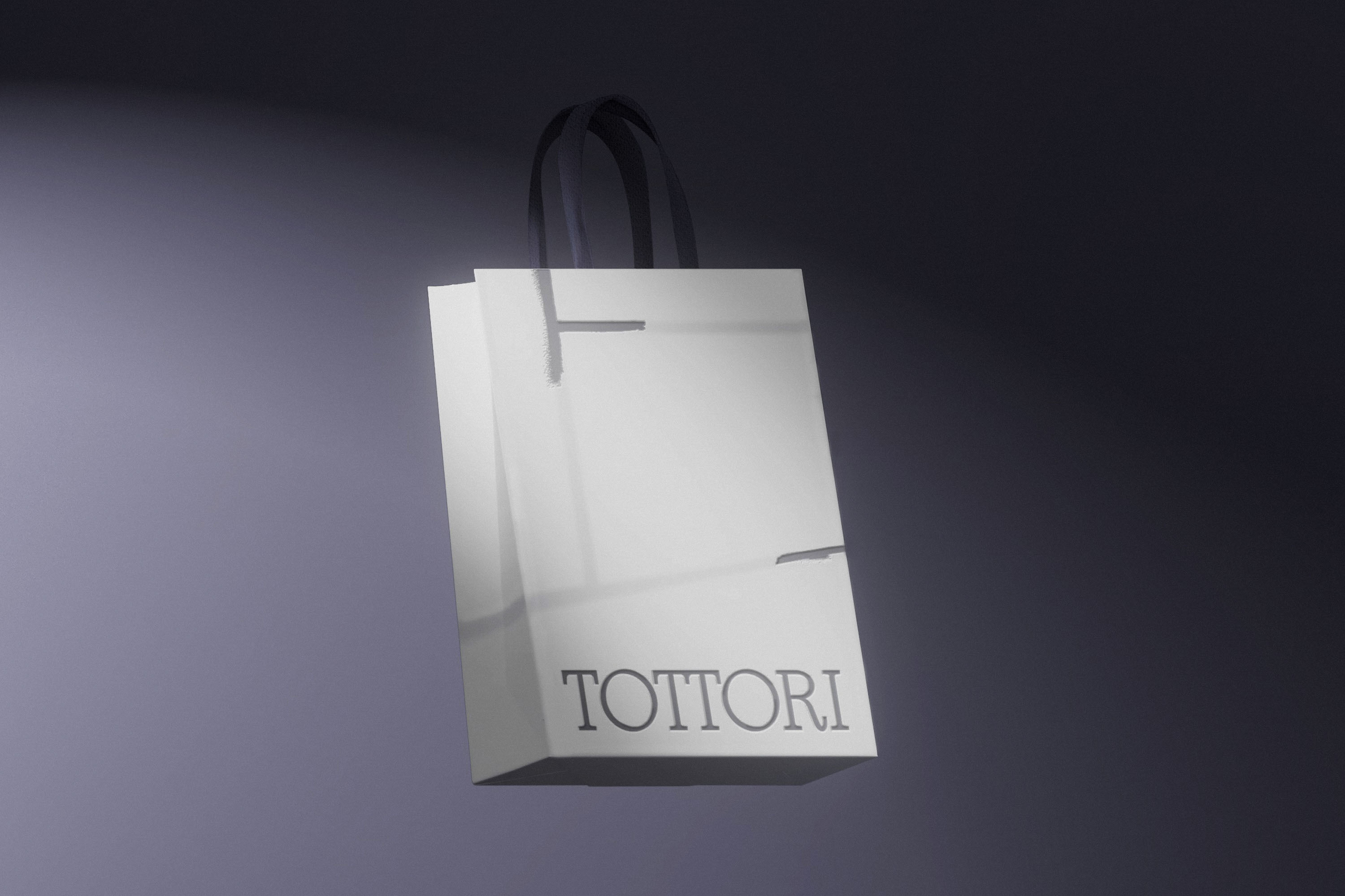 Tottori — Изображение №14 — Брендинг на Dprofile