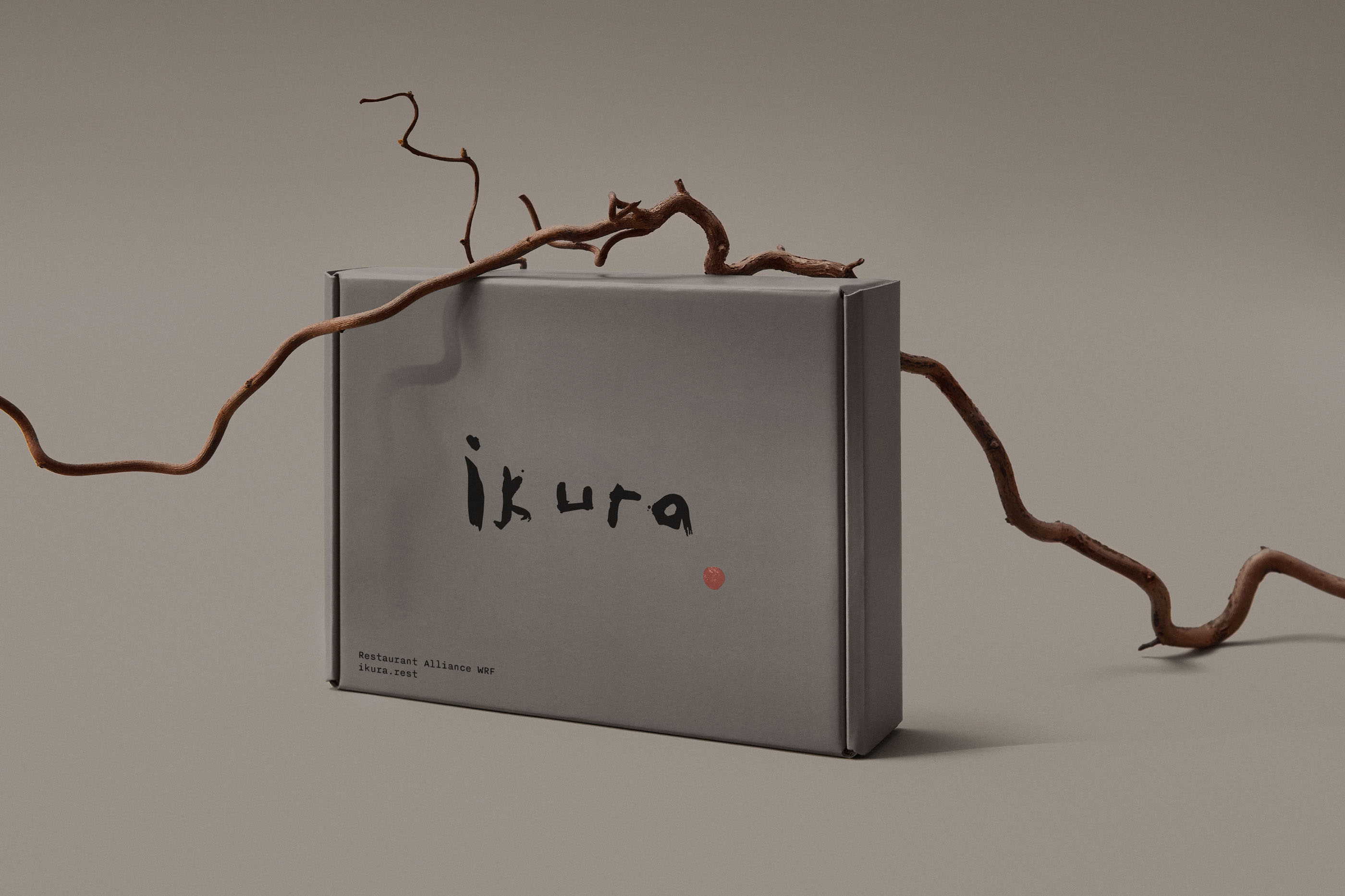 Ikura — Изображение №13 — Брендинг на Dprofile