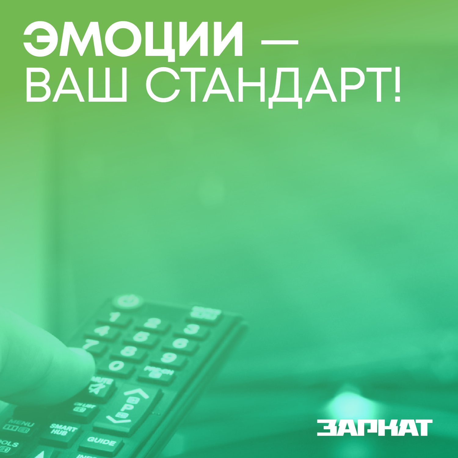 Заркат — Изображение №10 — Брендинг, Графика на Dprofile
