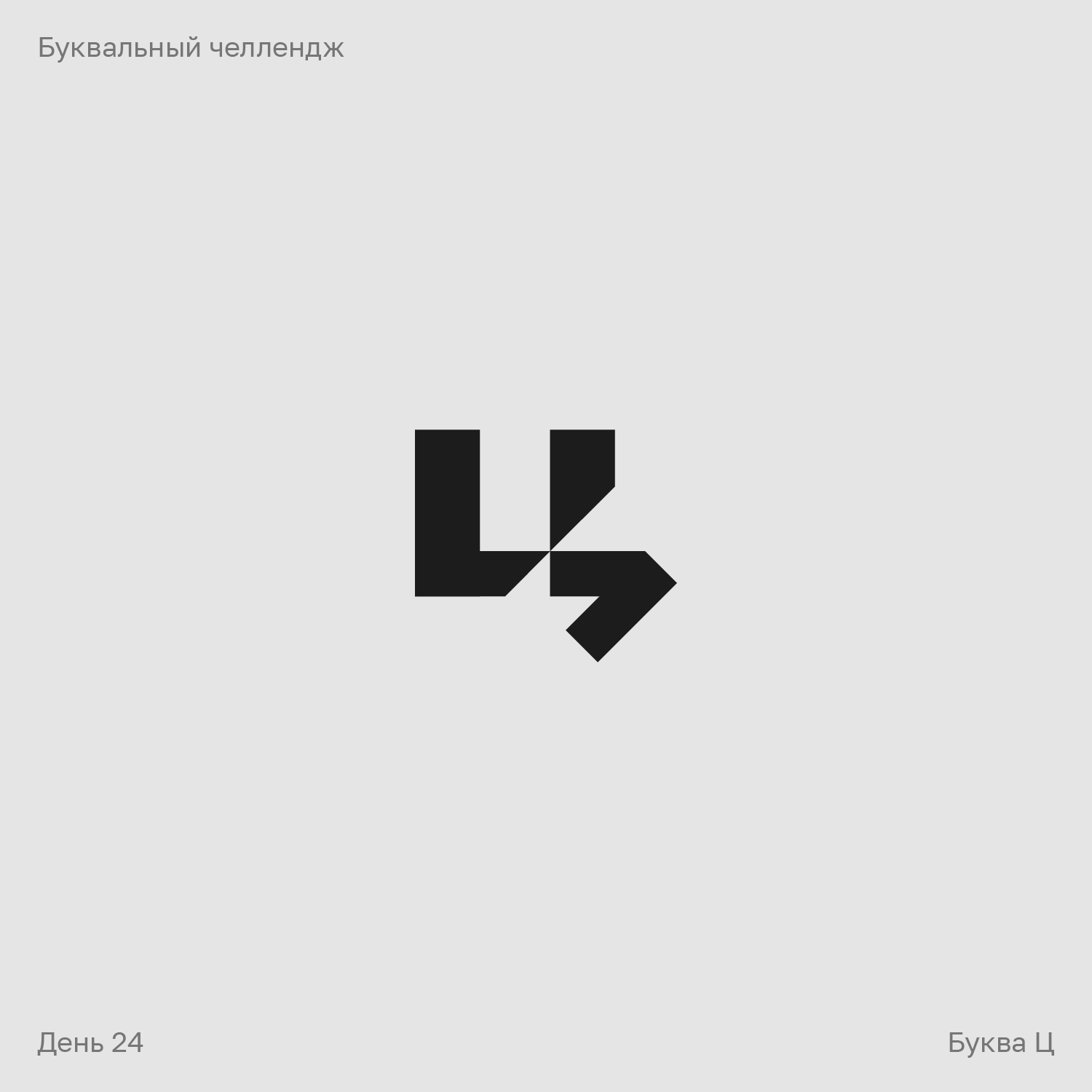 Буквальный челлендж — Изображение №24 — Брендинг, Графика на Dprofile