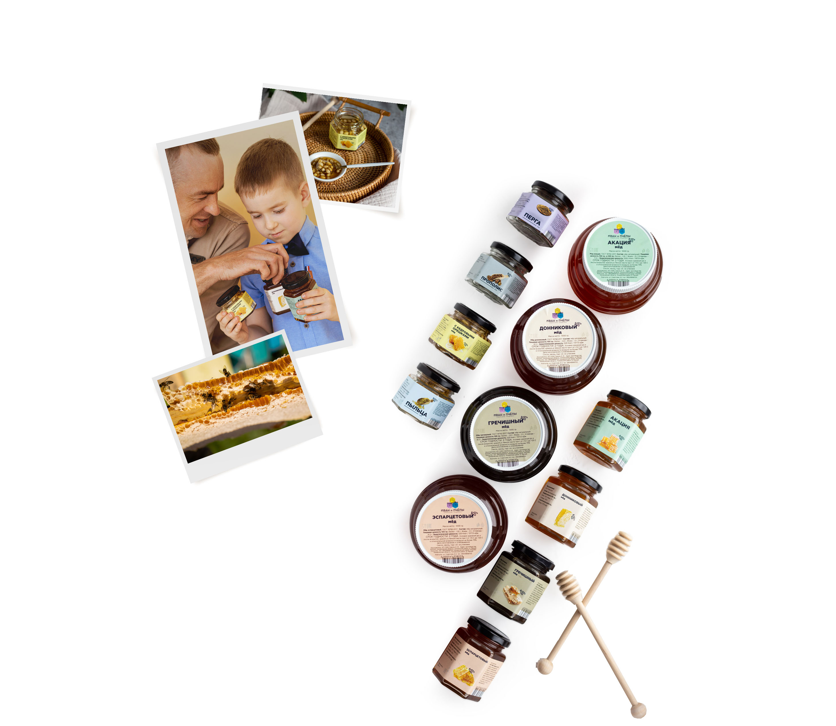 ИВАН И ПЧЁЛЫ | семейная пасека — Изображение №3 — Брендинг на Dprofile