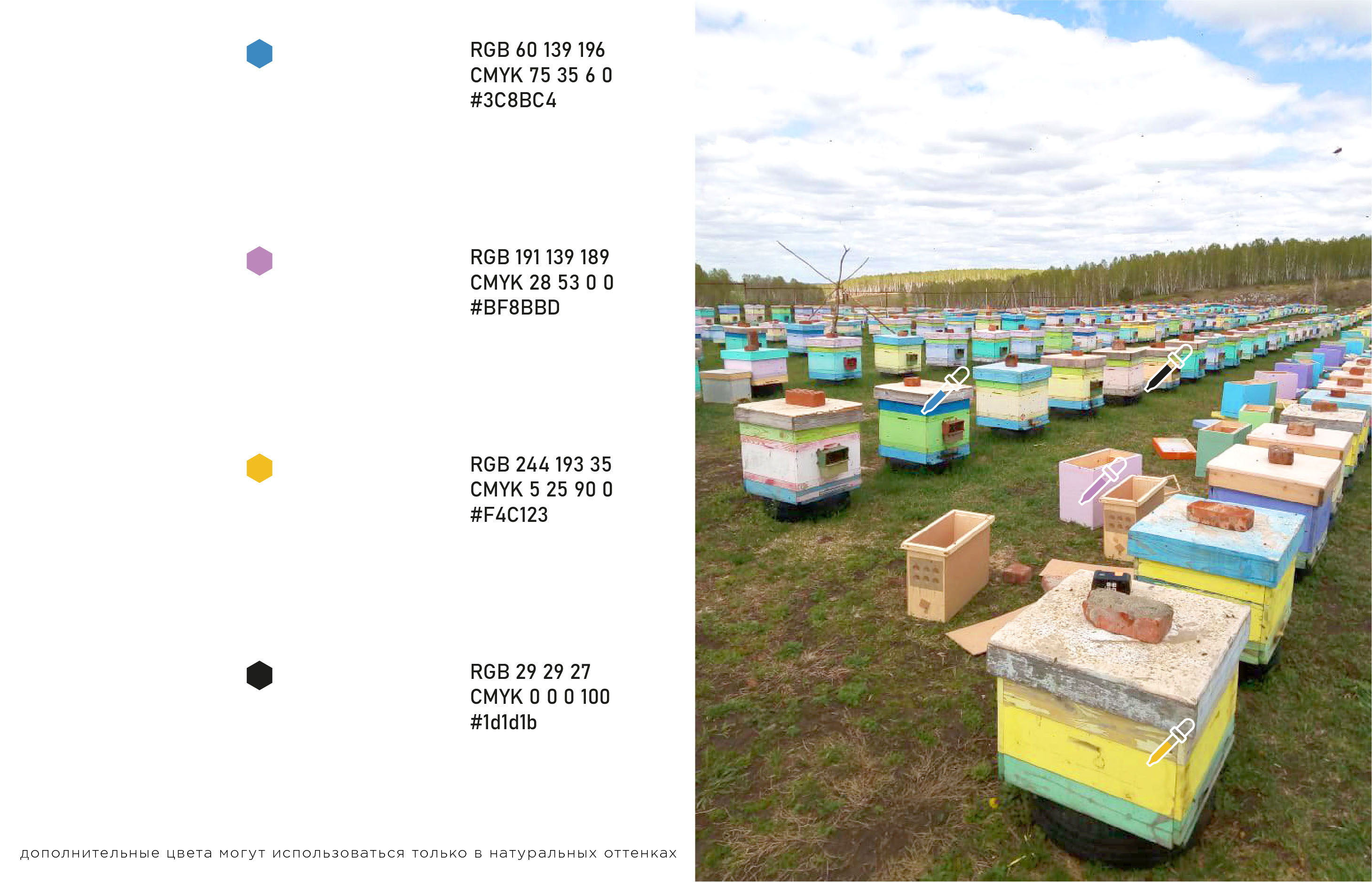 ИВАН И ПЧЁЛЫ | семейная пасека — Изображение №2 — Брендинг на Dprofile