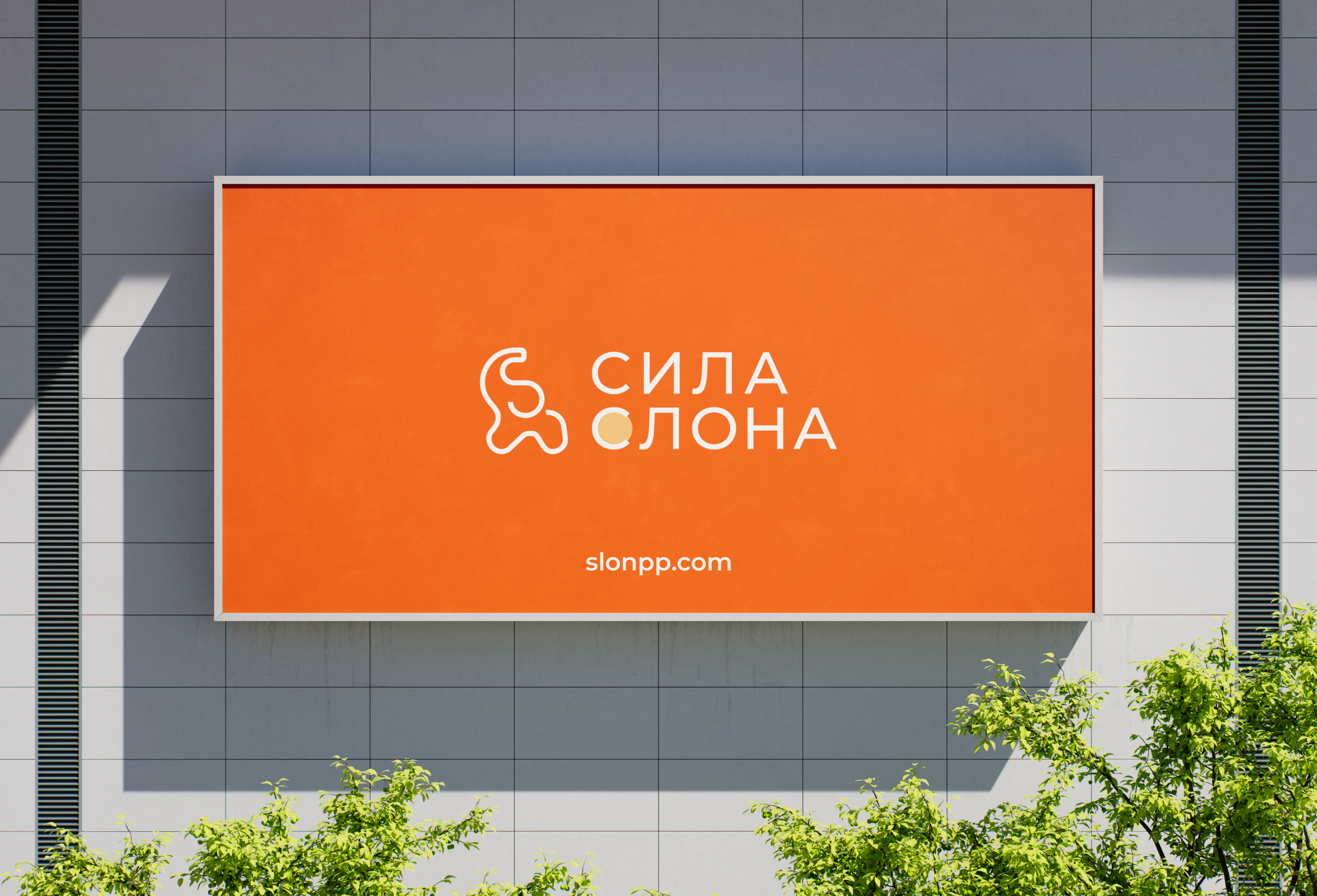 Сила Слона |Ребрендинг | Интернет-магазин БАДов и витаминов — Изображение №3 — Интерфейсы, Брендинг на Dprofile