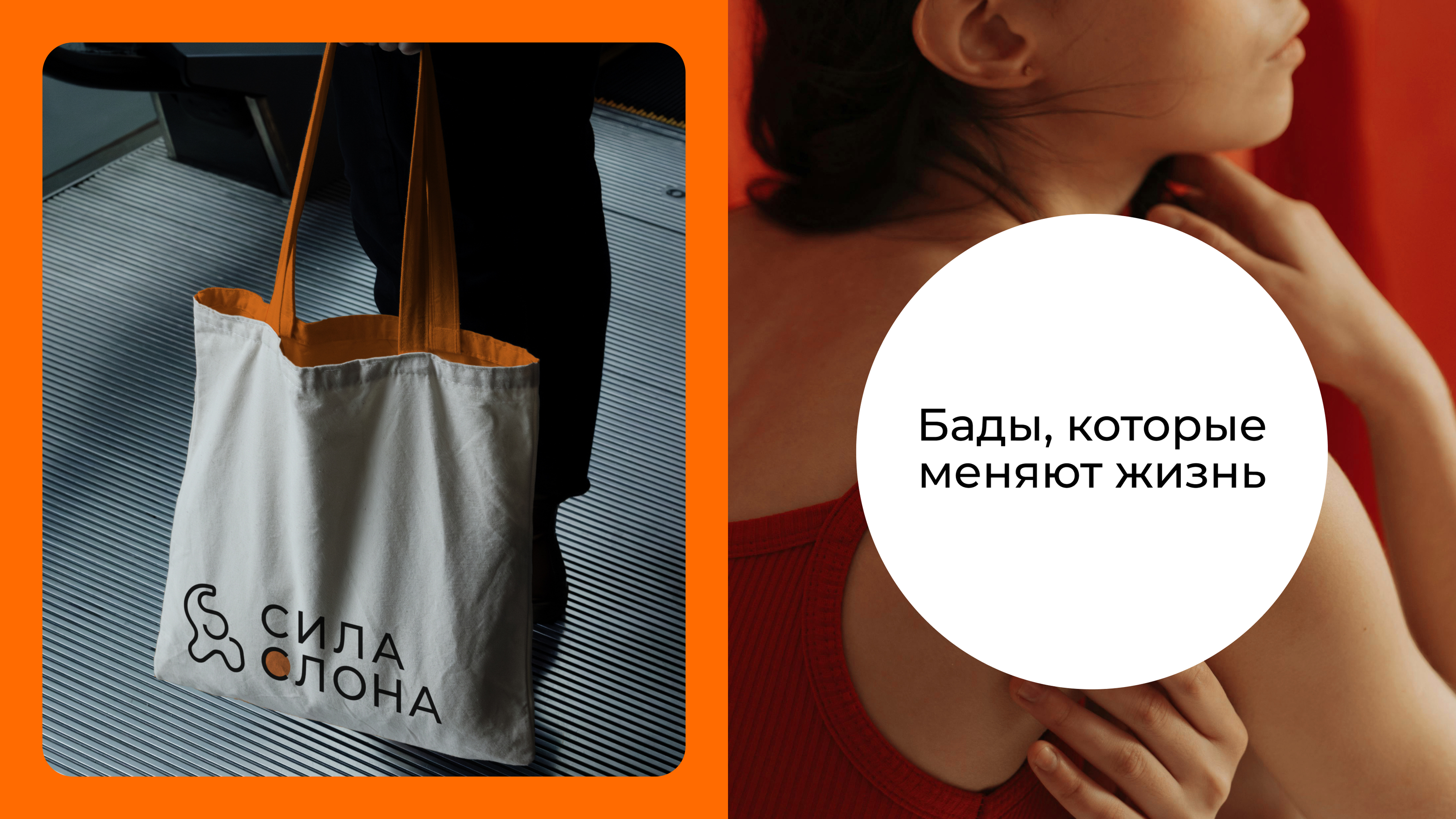 Сила Слона |Ребрендинг | Интернет-магазин БАДов и витаминов — Изображение №11 — Интерфейсы, Брендинг на Dprofile