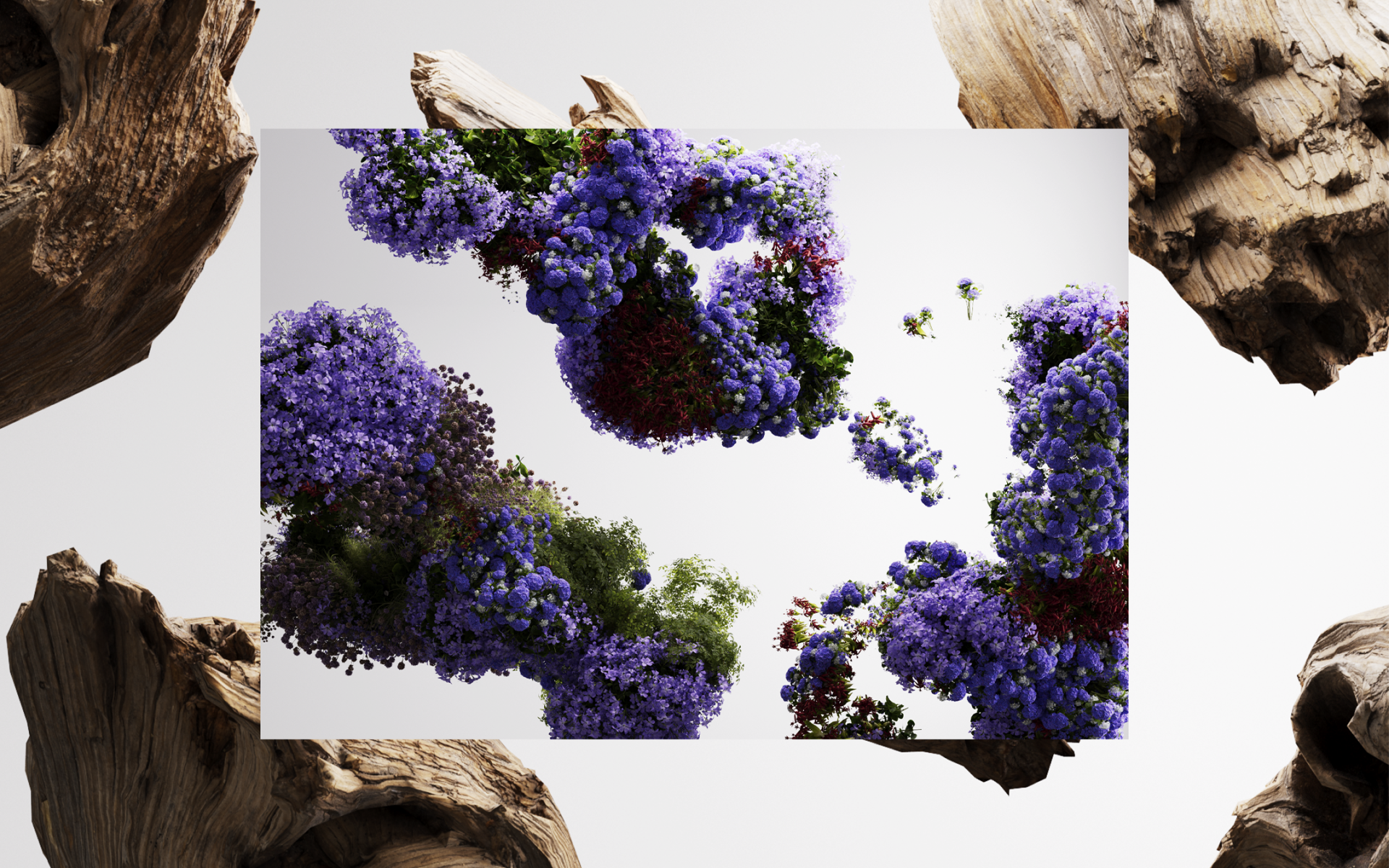 Butterfly Festival (Summer 2024) — Изображение №7 — 3D, Анимация на Dprofile