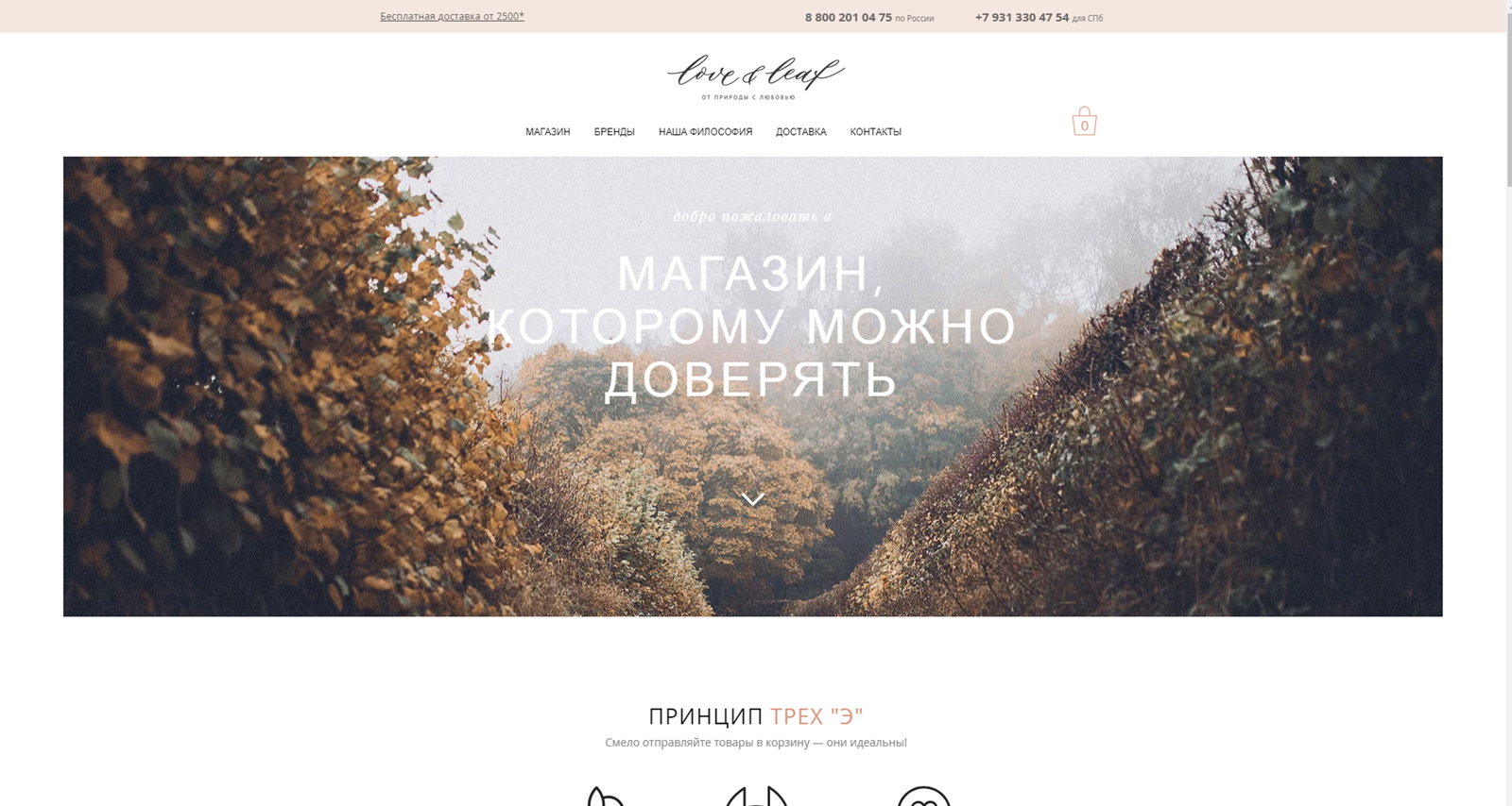 Логотип для интернет-магазина — Изображение №2 — Брендинг, Графика на Dprofile
