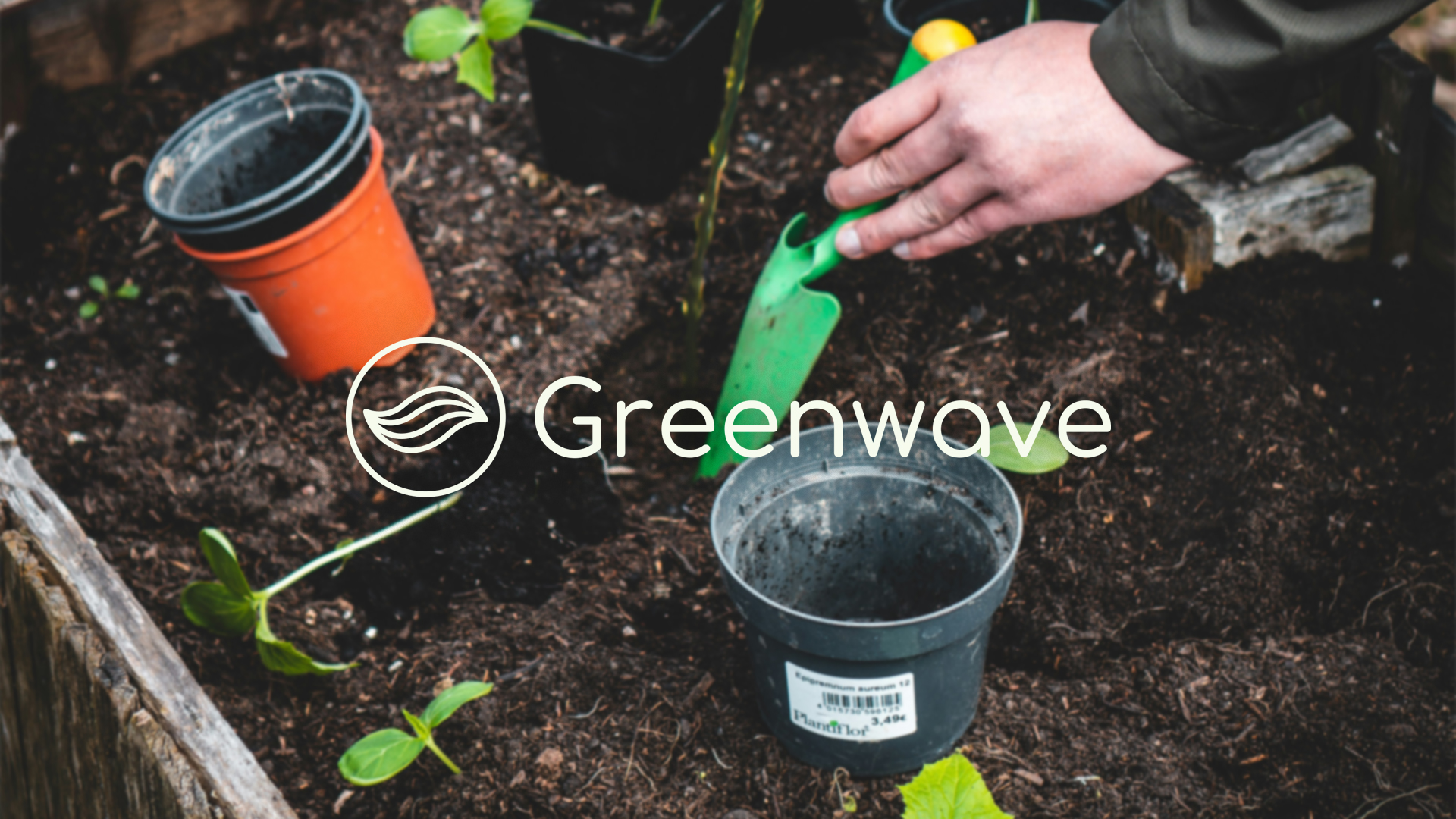 Айдентика для Greenwave — Изображение №1 — Брендинг на Dprofile