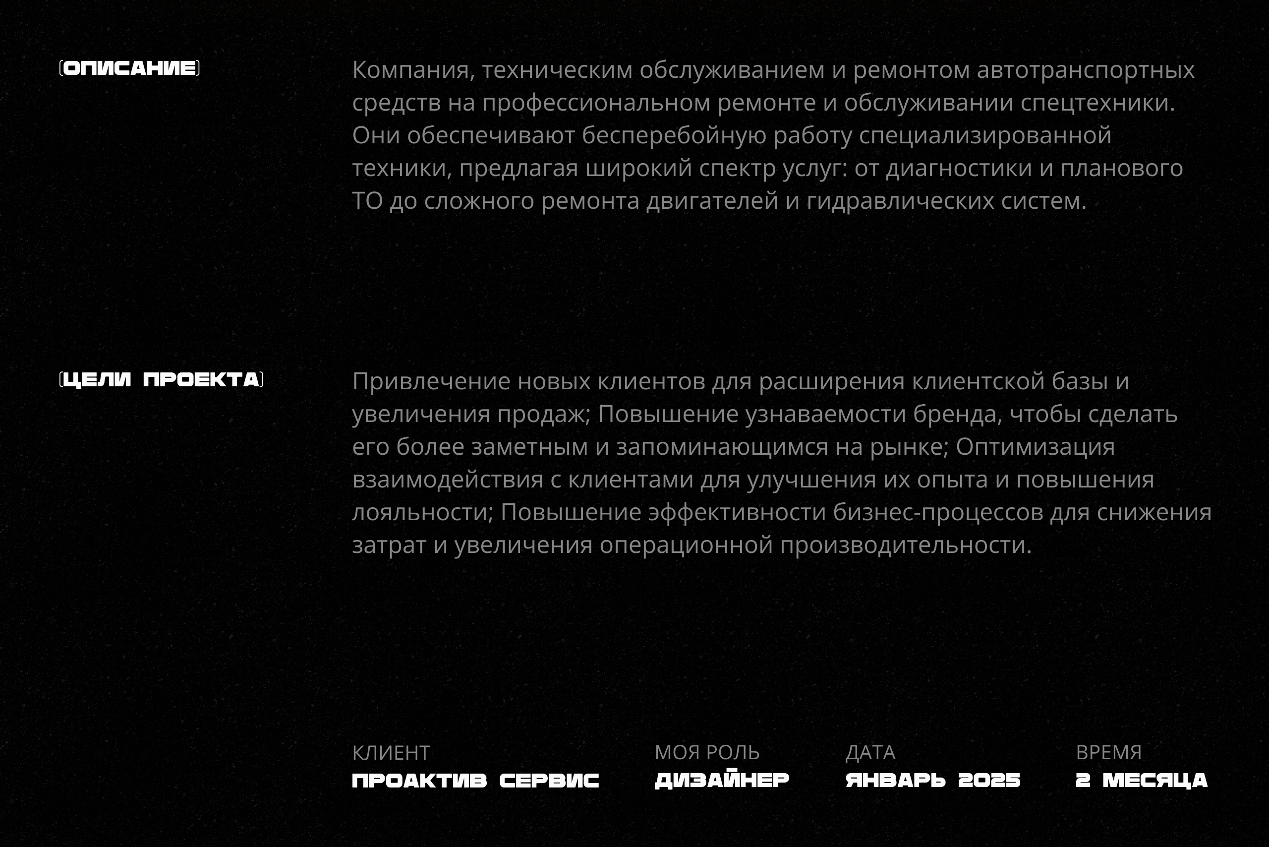 Коммерческий проект. ПРОАКТИВ СЕРВИС — Изображение №2 — Интерфейсы, Брендинг на Dprofile