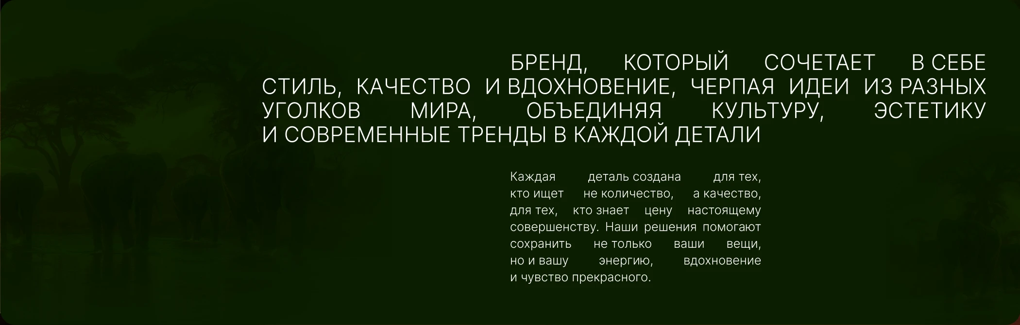 Редизайн магазина дизайнерских сумок — Изображение №2 — Интерфейсы, Брендинг на Dprofile