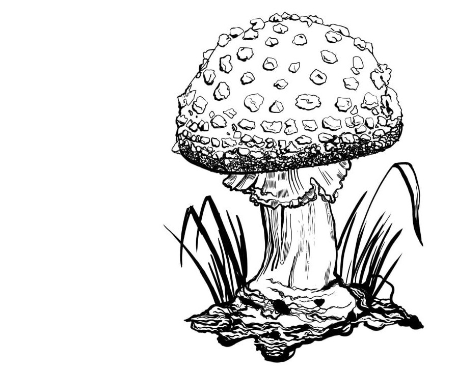 Растровые иллюстрации — Иллюстрация на Dprofile