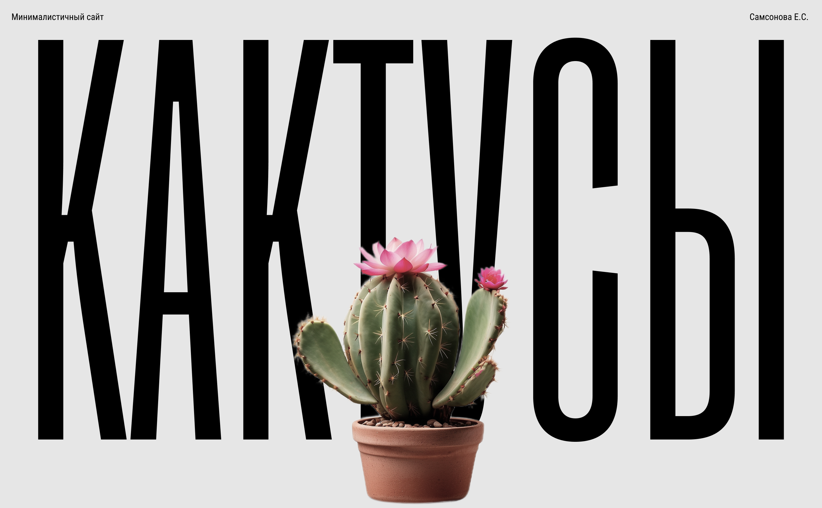 Кактусы — Изображение №1 — Интерфейсы, Графика на Dprofile
