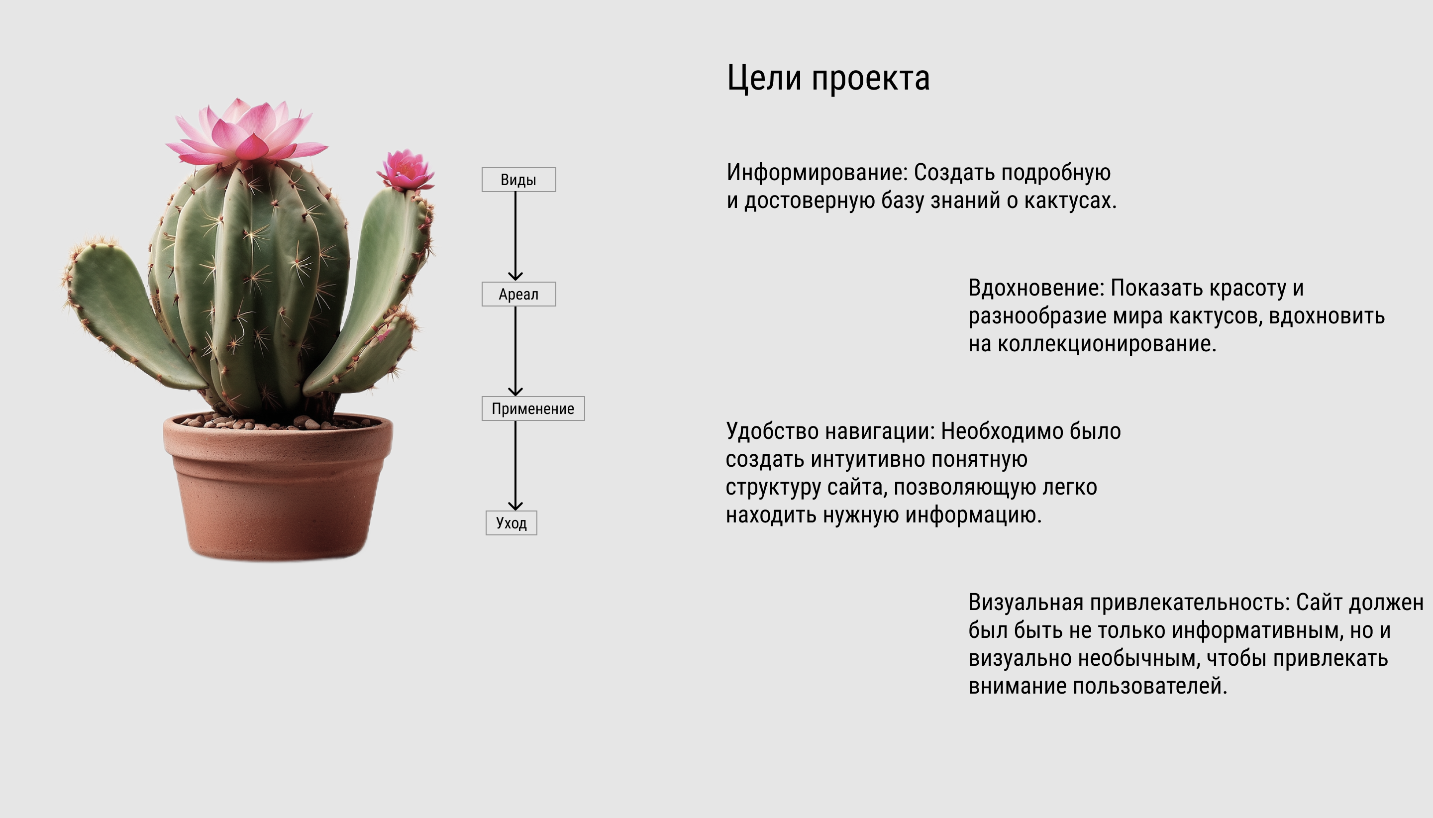 Кактусы — Изображение №3 — Интерфейсы, Графика на Dprofile
